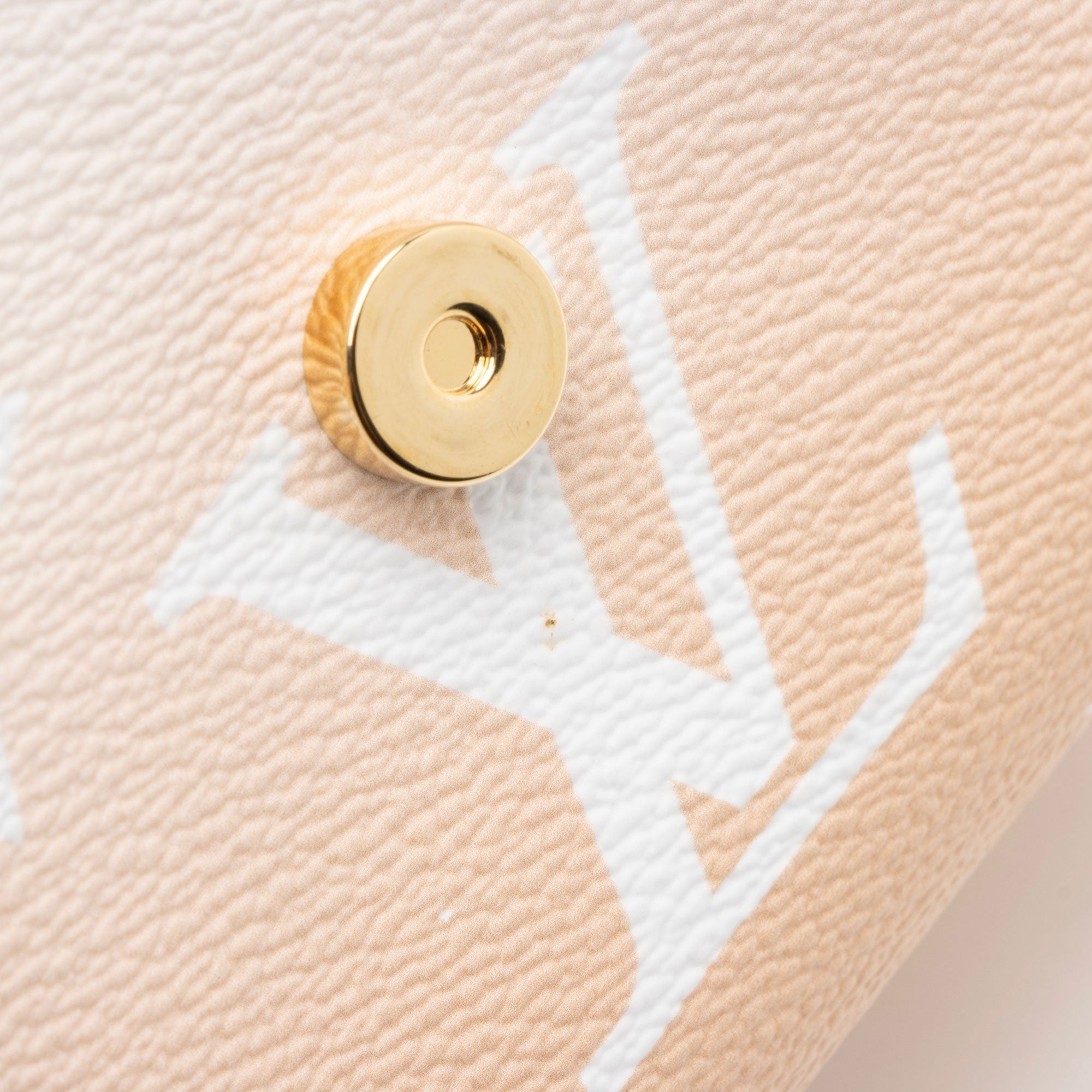 Louis Vuitton Giant Monogram Canvas By The Pool Tiny Backpack
