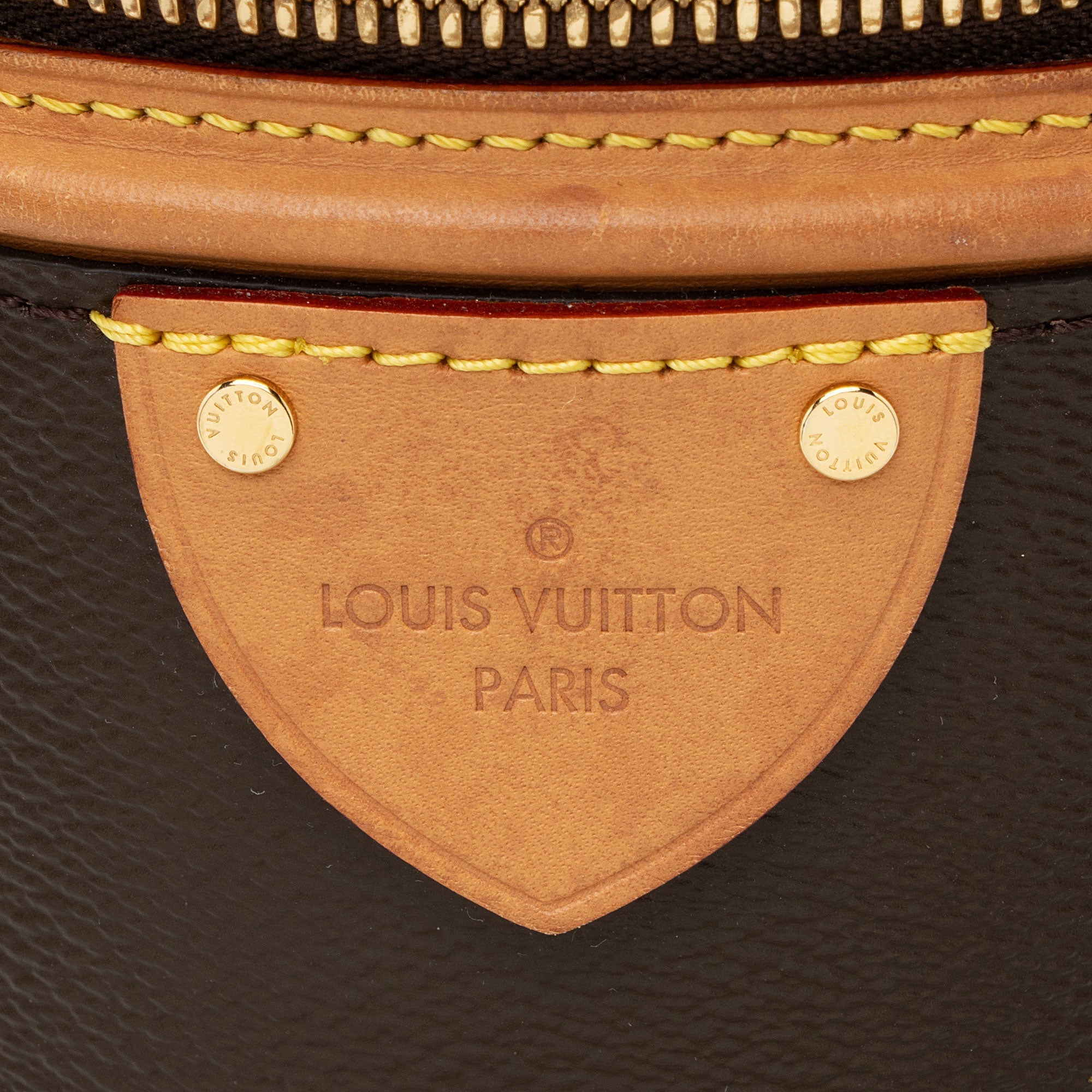 Louis Vuitton Giant Monogram Canvas Cannes Shoulder Bag