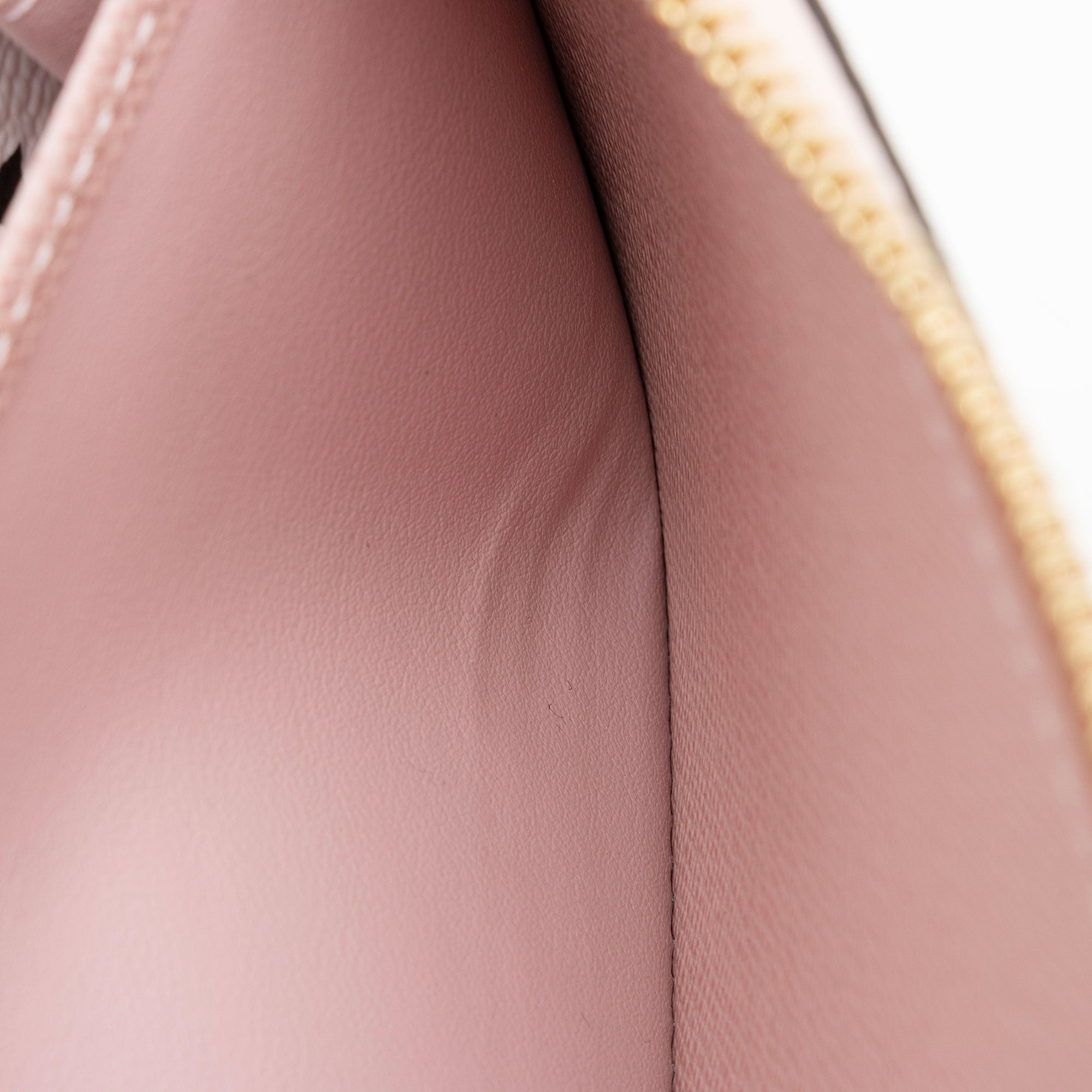 Louis Vuitton Giant Monogram Canvas Zippy Wallet