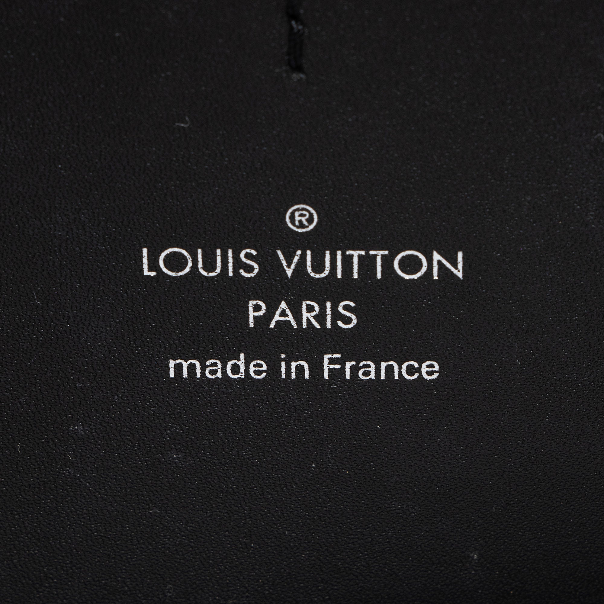 Louis Vuitton Giant Reverse Monogram Canvas Dauphine Belt Bag