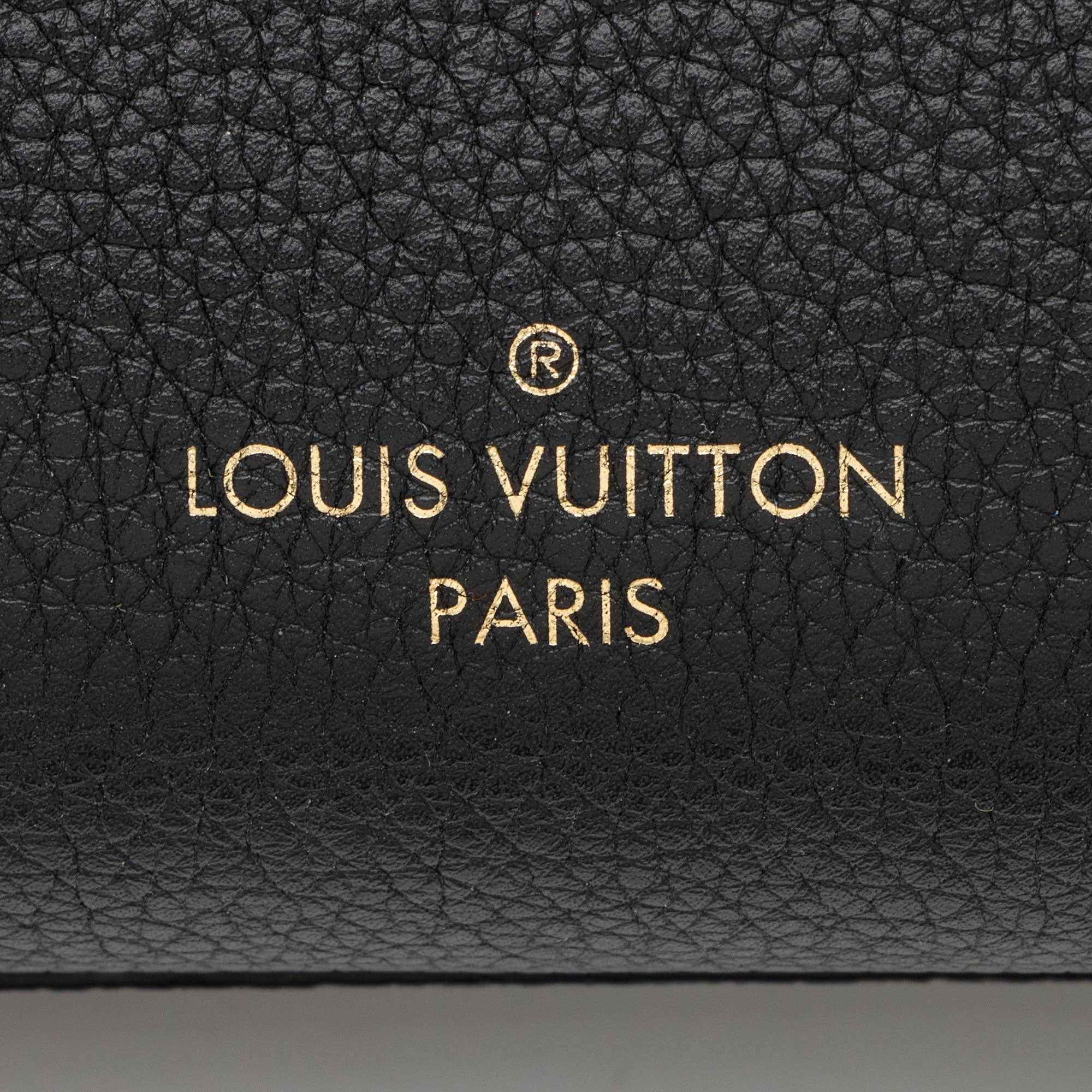 Louis Vuitton Grained Calfskin Lock & Go Tote