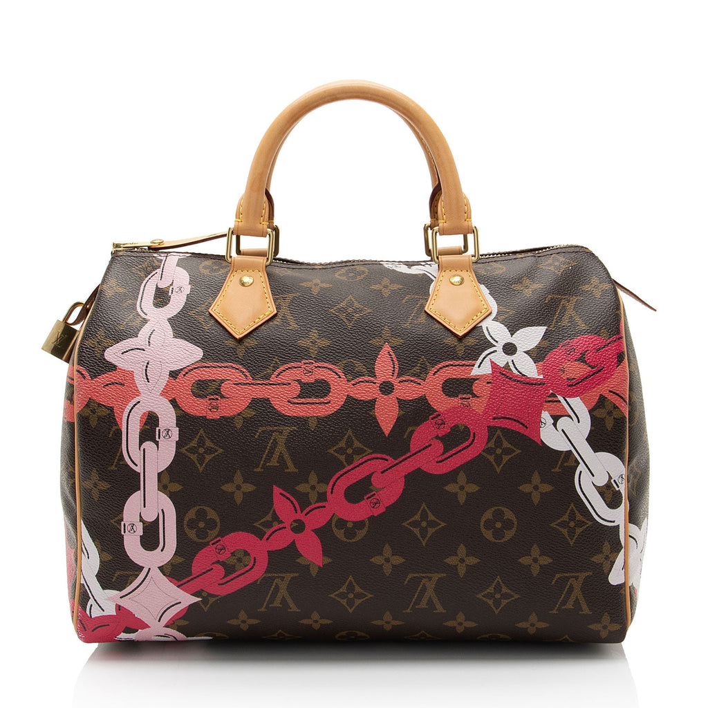 Louis Vuitton Limited Edition Monogram Canvas Bay Speedy 30 Satchel (SHF-yQMKZb)