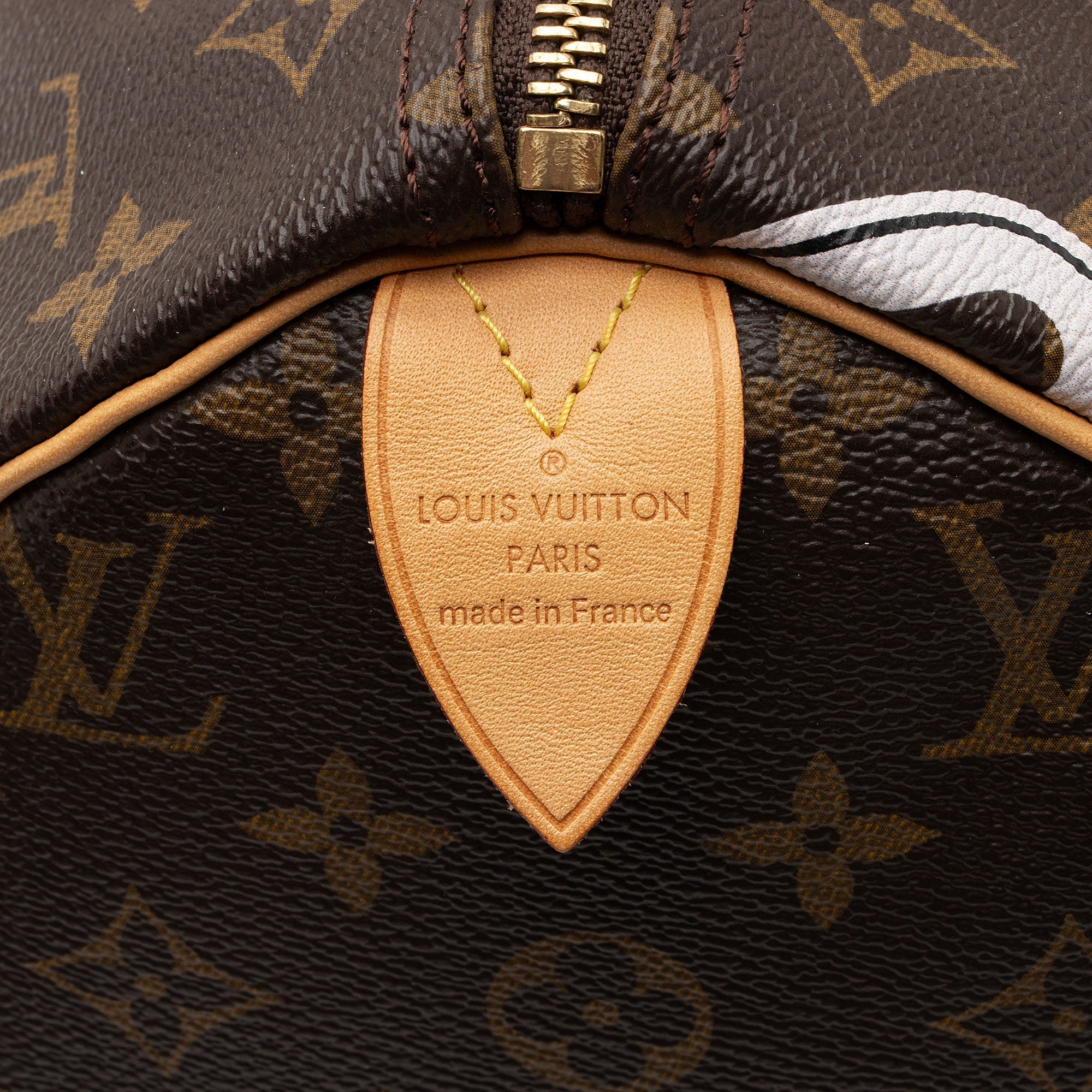 Louis Vuitton Limited Edition Monogram Canvas Bay Speedy 30 Satchel (SHF-yQMKZb)