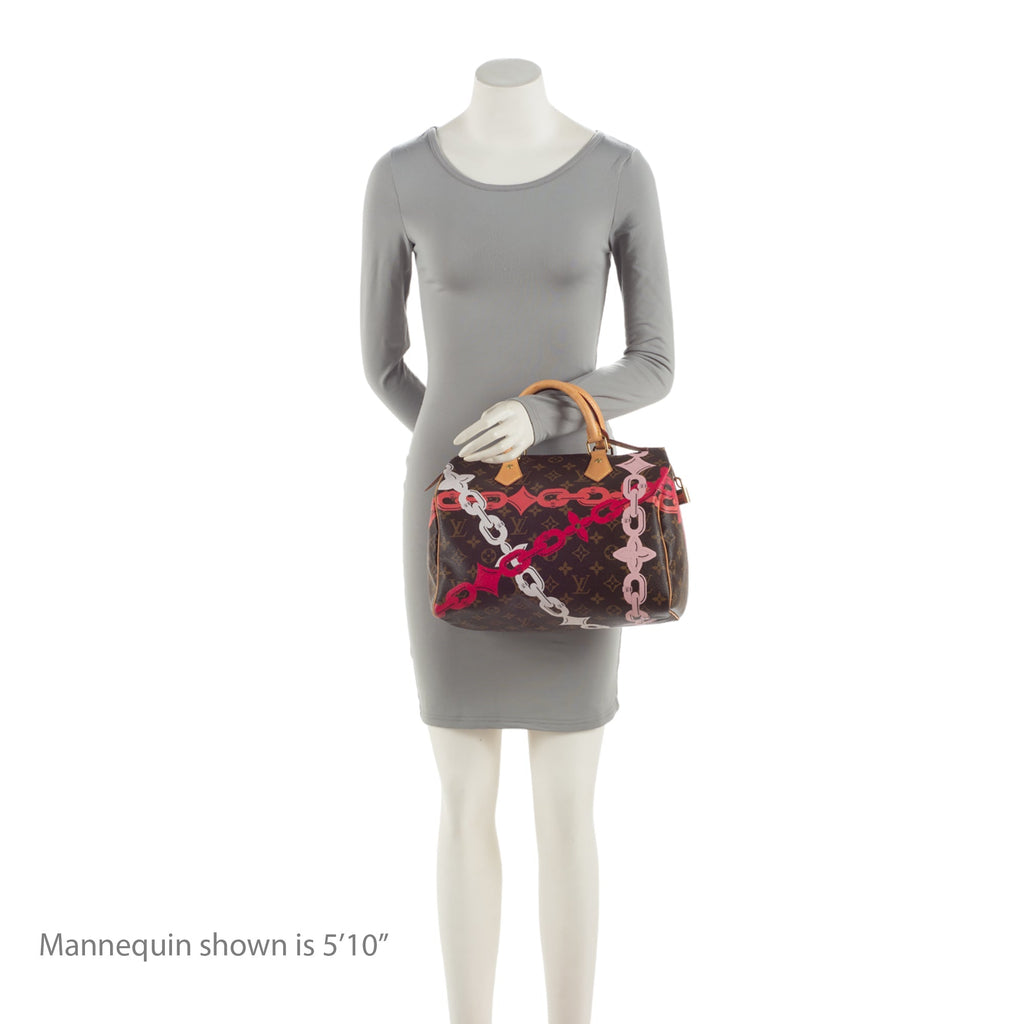 Louis Vuitton Limited Edition Monogram Canvas Bay Speedy 30 Satchel (SHF-yQMKZb)