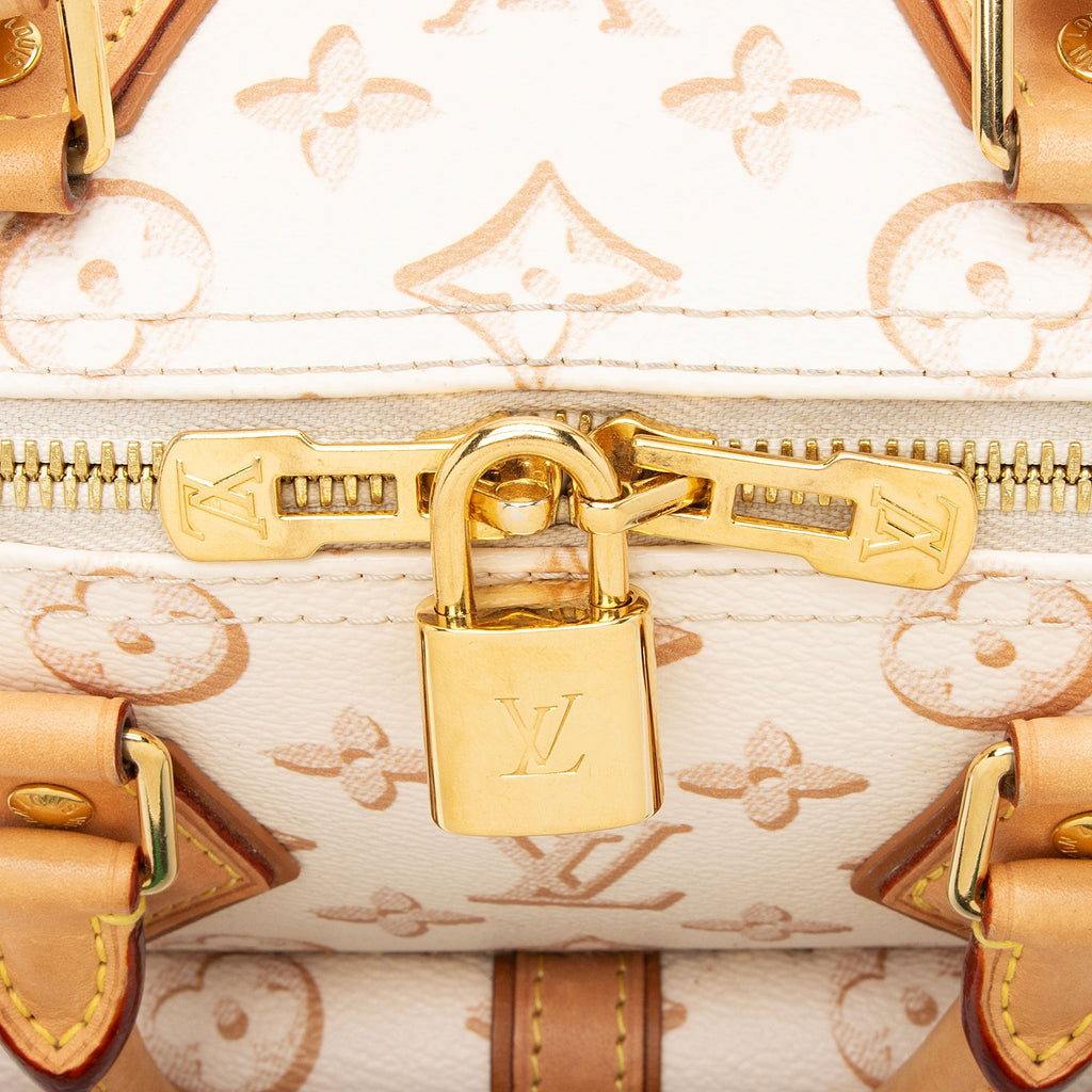 Louis Vuitton Limited Edition Monogram Canvas Fall For Speedy Bandouliere 25 Satchel