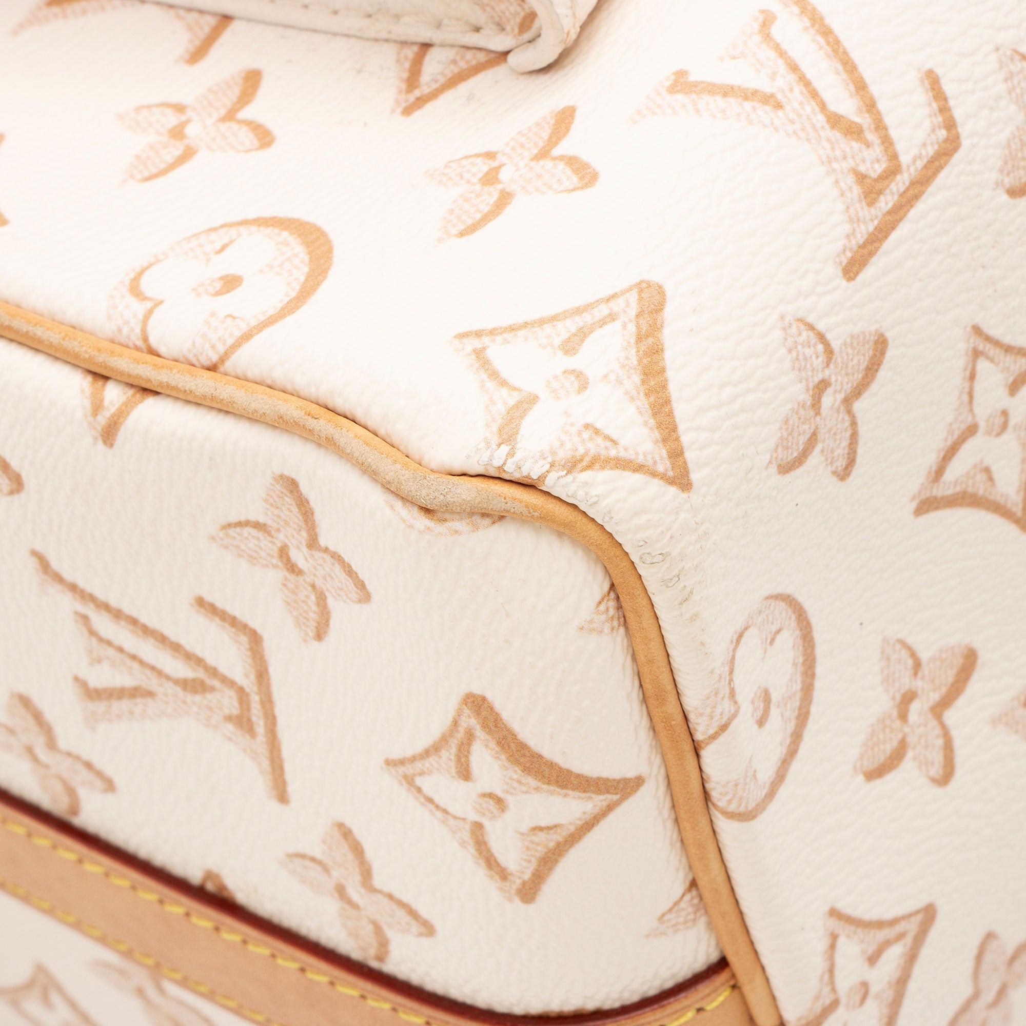 Louis Vuitton Limited Edition Monogram Canvas Fall For Speedy Bandouliere 25 Satchel