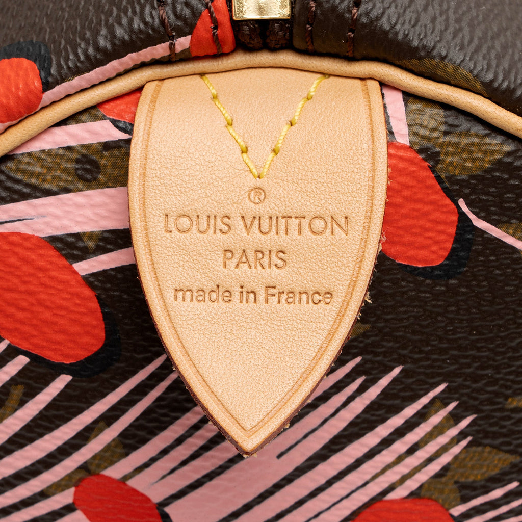 Louis Vuitton Limited Edition Monogram Canvas Jungle Dots Speedy 30 Satchel