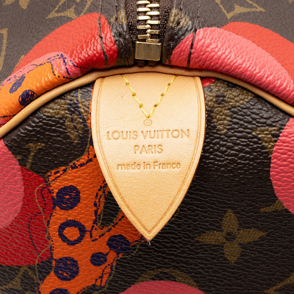 Louis Vuitton Limited Edition Monogram Canvas Ramages Speedy 30 Satchel