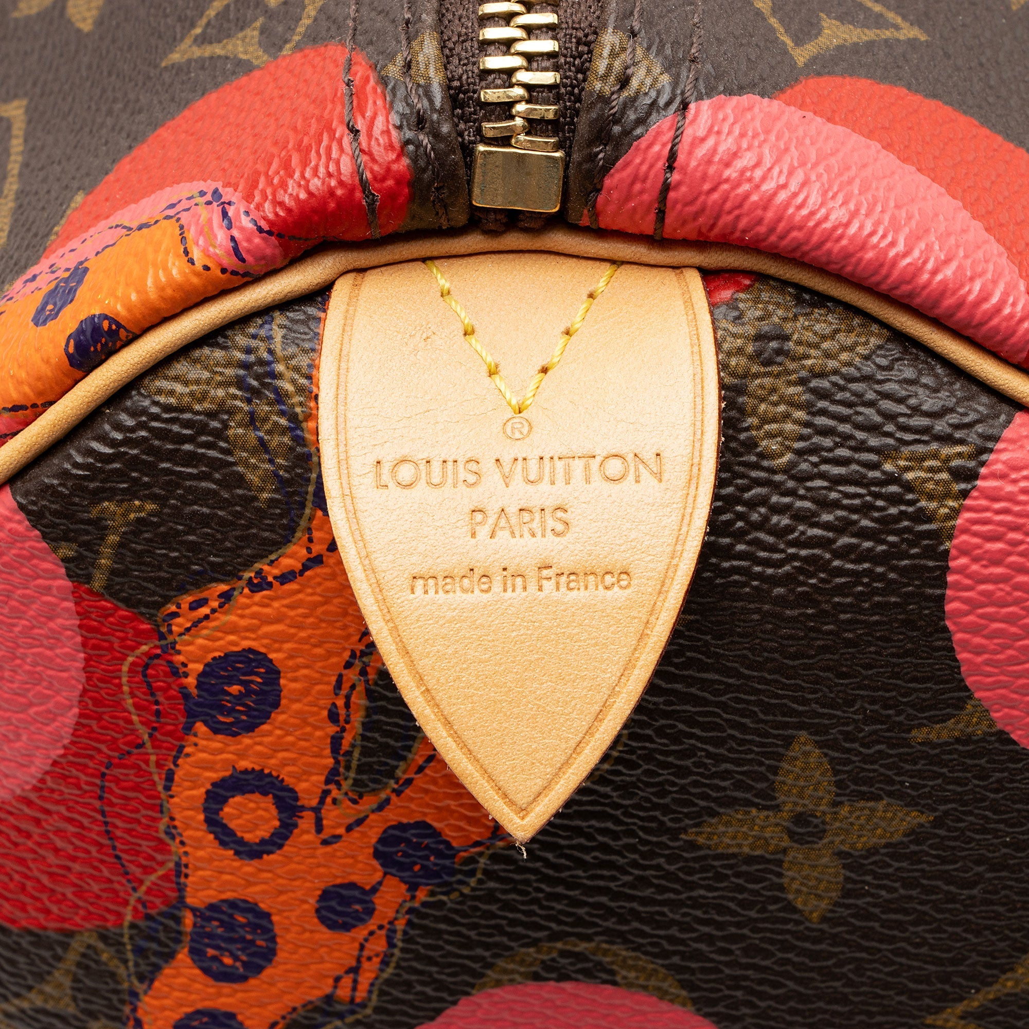 Louis Vuitton Limited Edition Monogram Canvas Ramages Speedy 30 Satchel