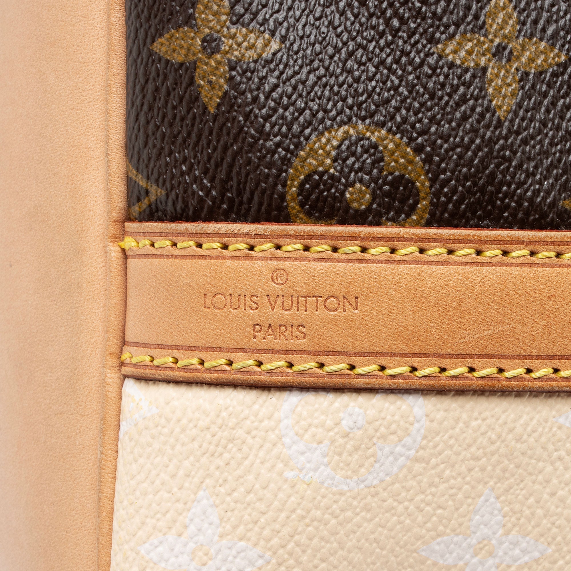 Louis Vuitton Limited Edition Monogram Canvas Rayures Petit Noe Shoulder Bag