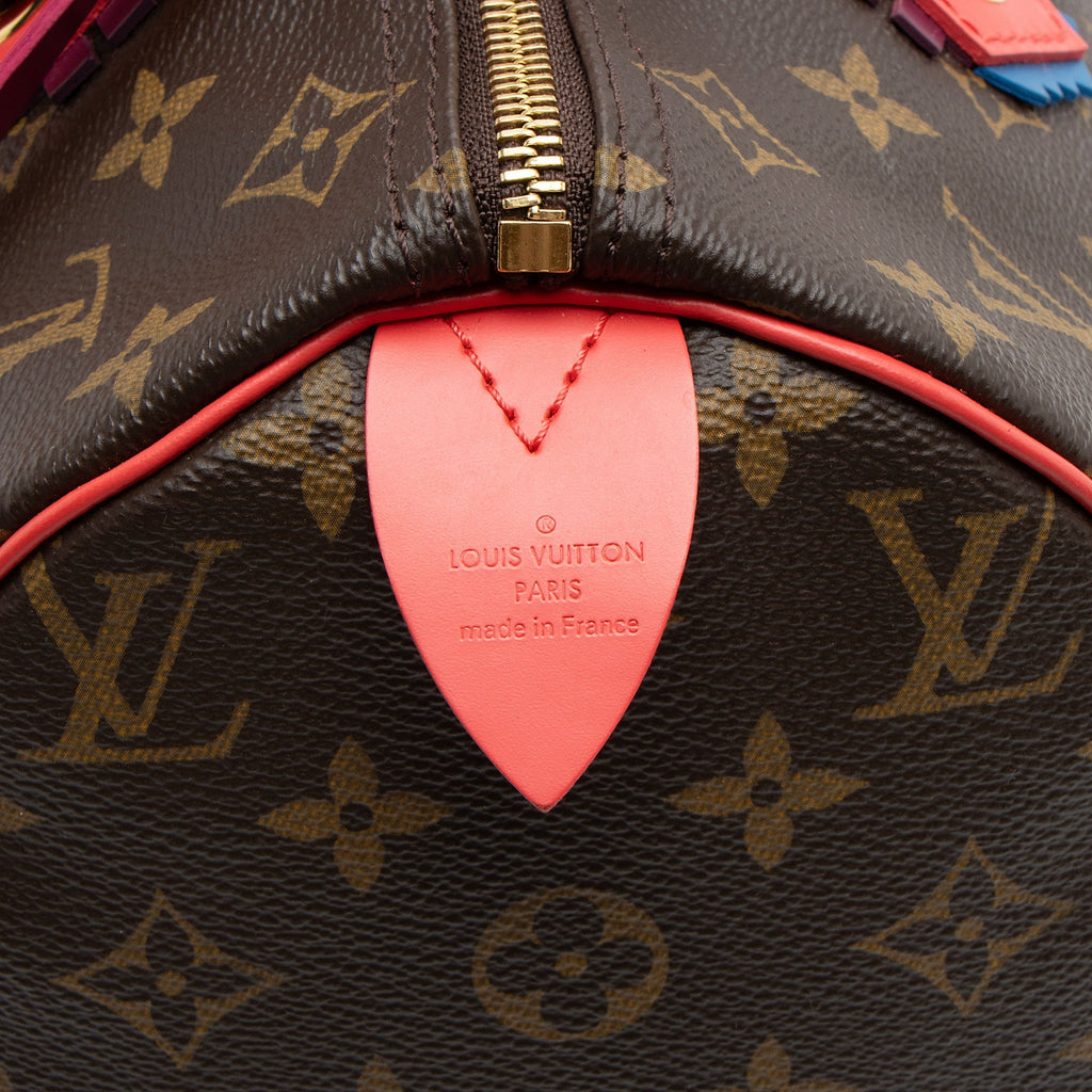 Louis Vuitton Limited Edition Monogram Canvas Totem Speedy 30 Satchel (SHF-emv1sU)