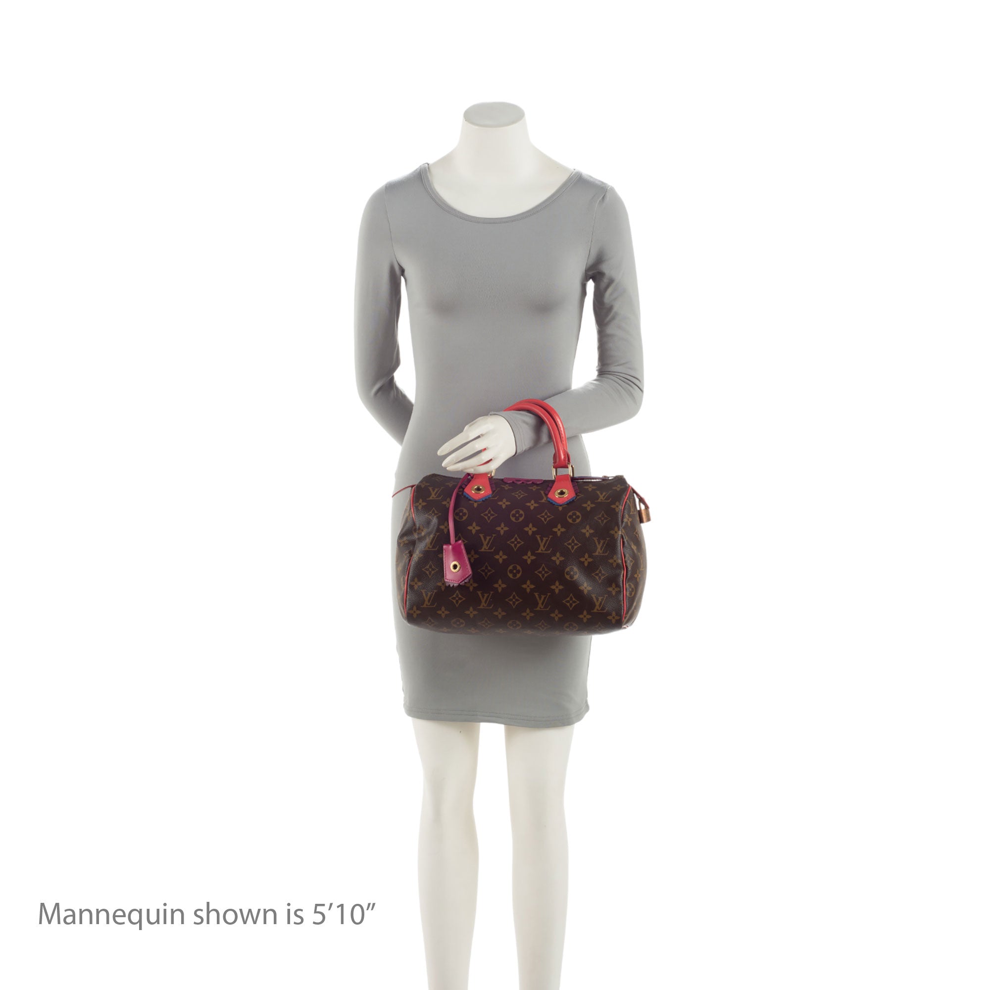 Louis Vuitton Limited Edition Monogram Canvas Totem Speedy 30 Satchel (SHF-emv1sU)