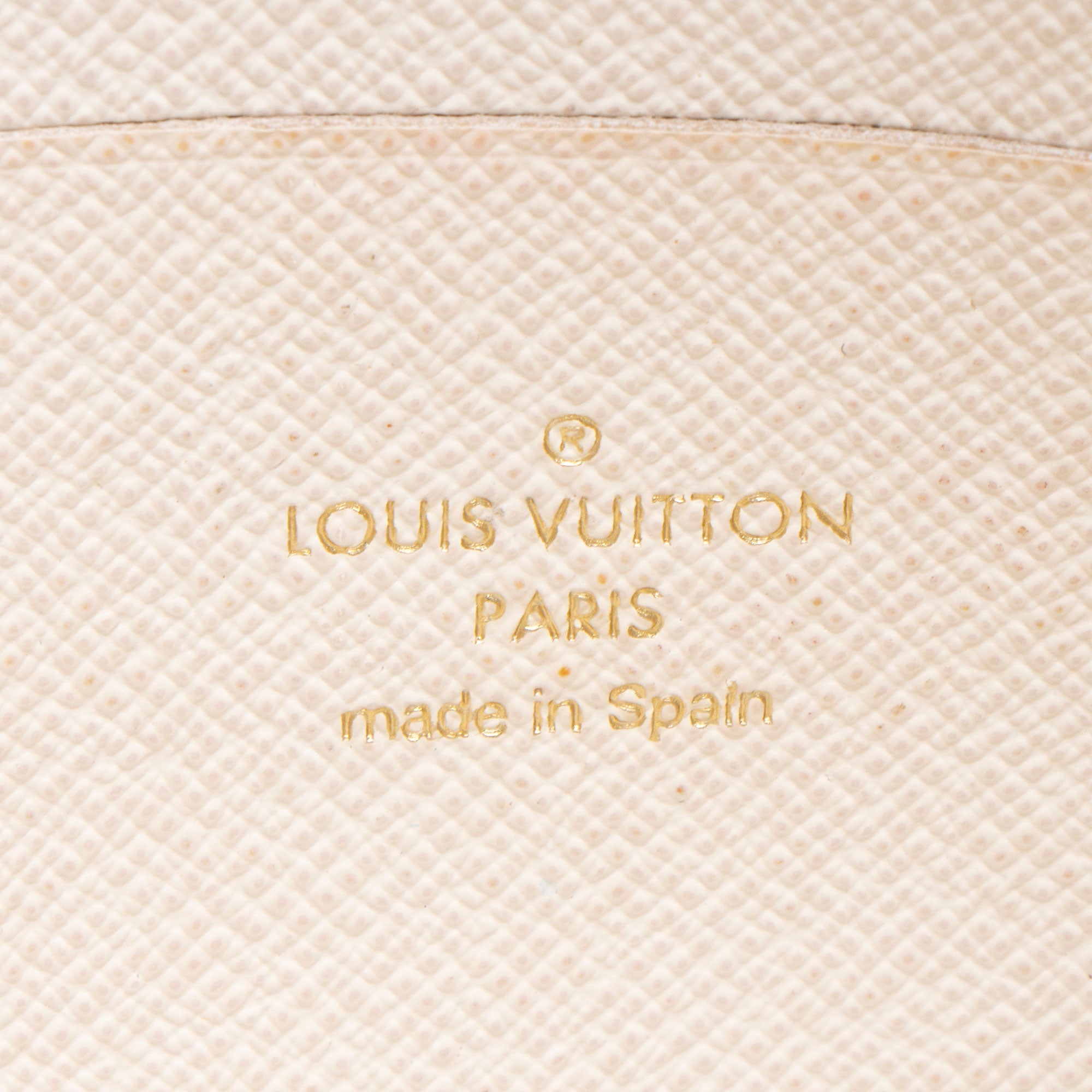 Louis Vuitton Limited Edition Monogram Crafty Double Zip Pochette