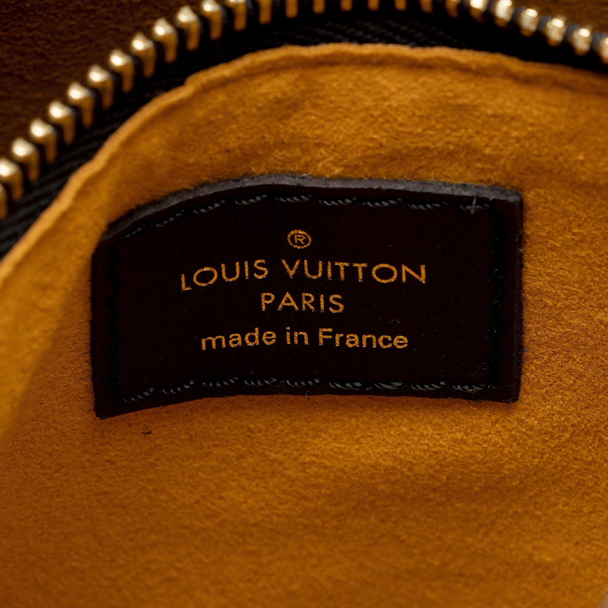 Louis Vuitton Limited Edition Monogram Giant Canvas Jungle Neonoe MM Shoulder Bag