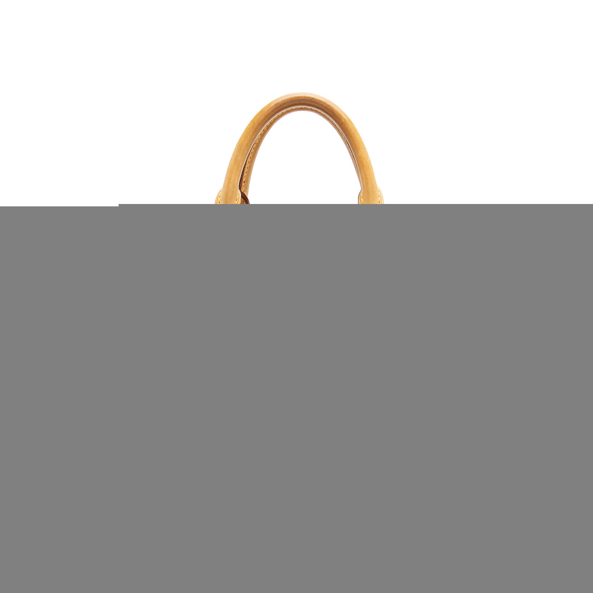Louis Vuitton Limited Edition Monogram Perforated Speedy 30 Satchel