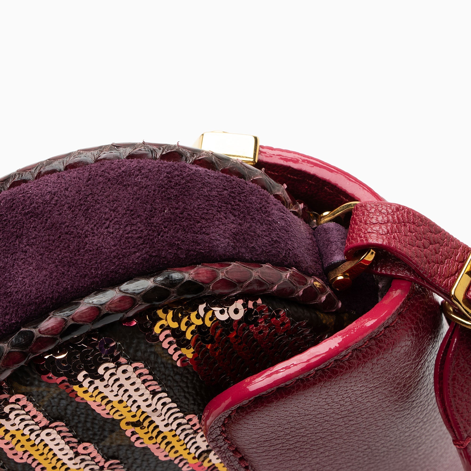 Louis Vuitton Limited Edition Monogram Savage Cub Clutch