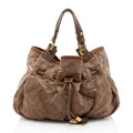 Louis Vuitton Limited Edition Monogram Suede Coco Irene Tote (SHF-sLMU05)