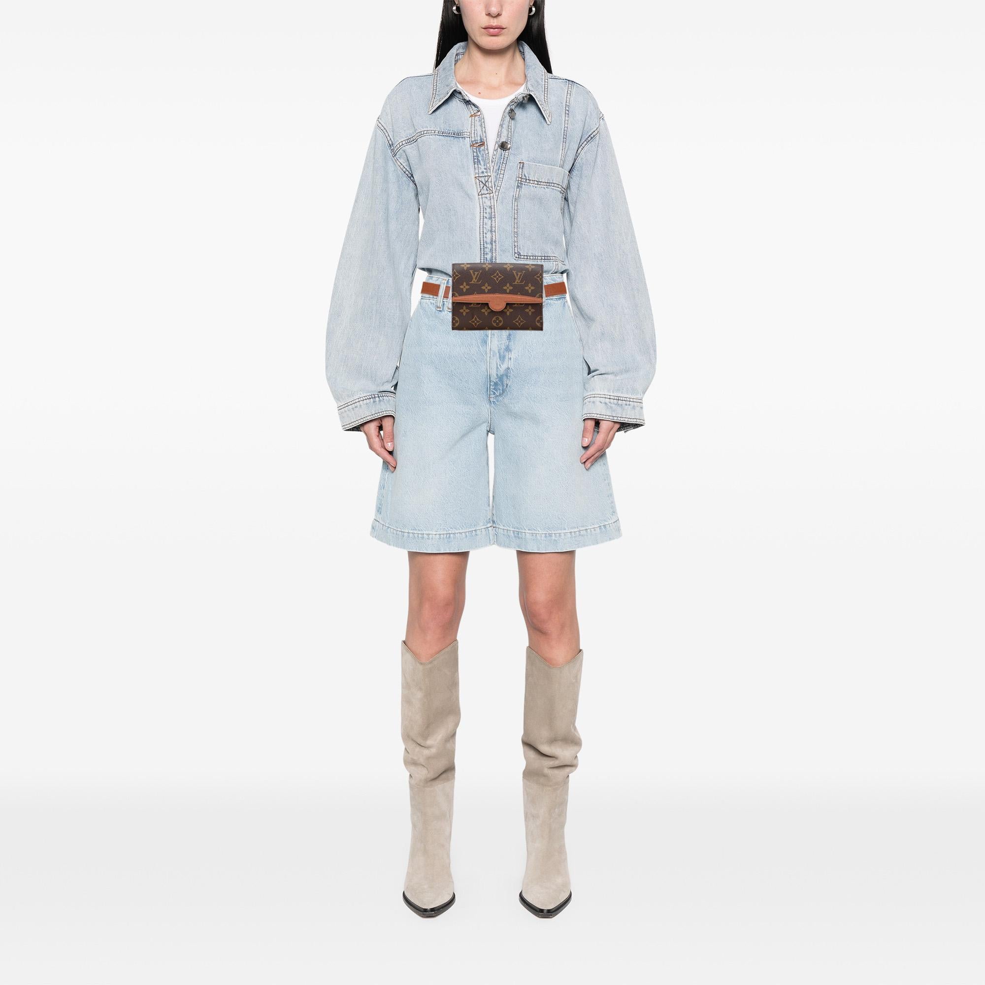 Louis Vuitton Monogram Arche