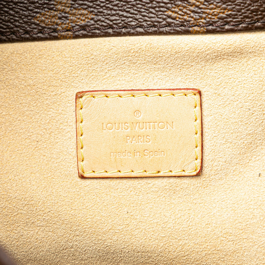 Louis Vuitton Monogram Artsy MM