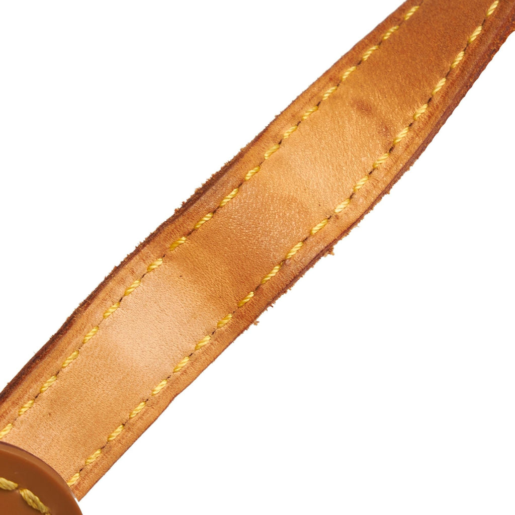 Louis Vuitton Monogram Blois (SHG-sfEI2V)