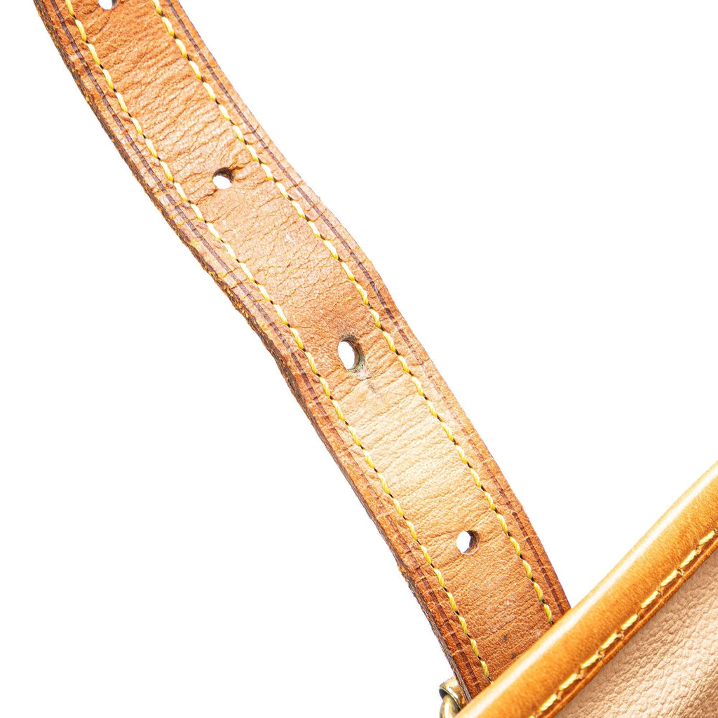 Louis Vuitton Monogram Bucket GM