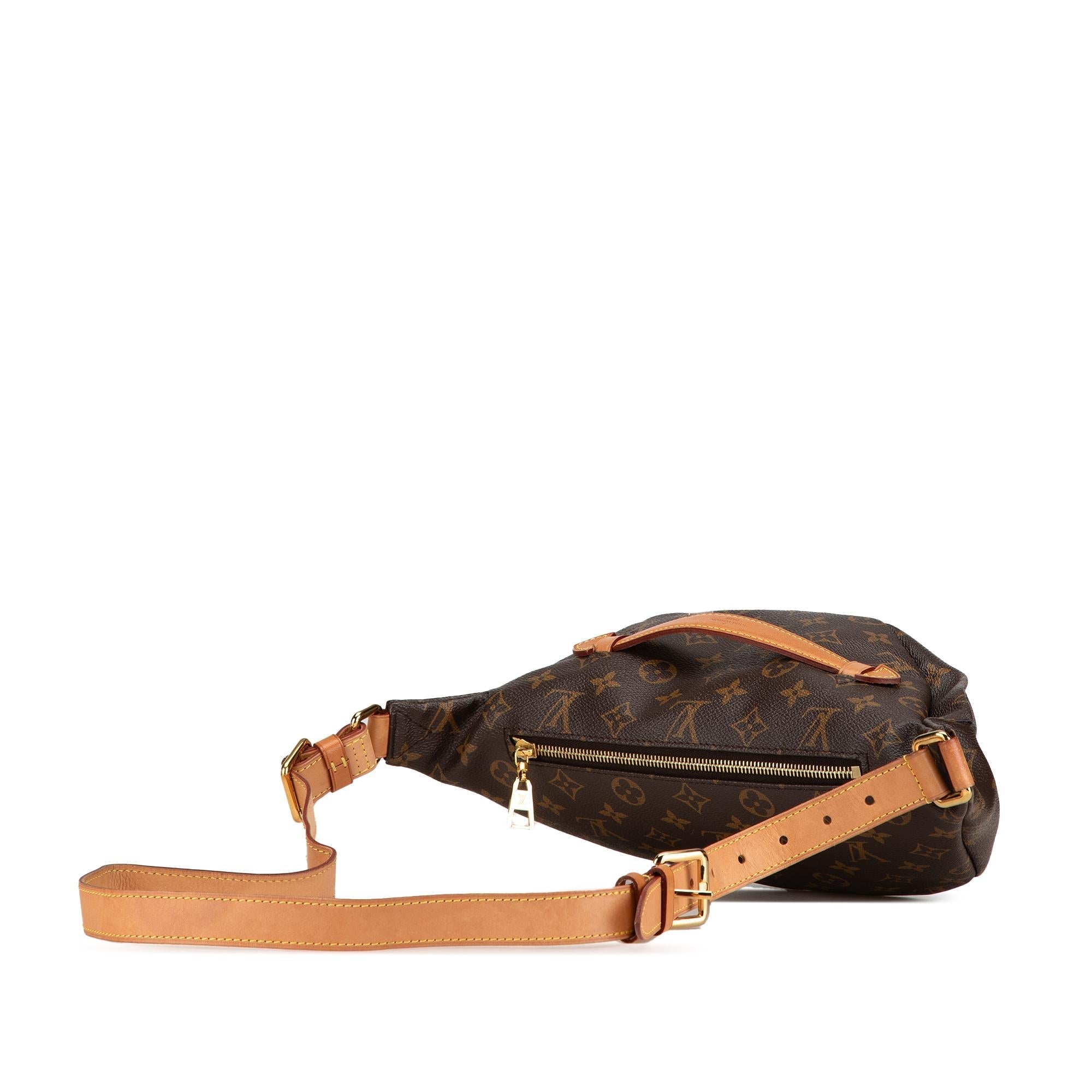 Louis Vuitton Monogram Bumbag