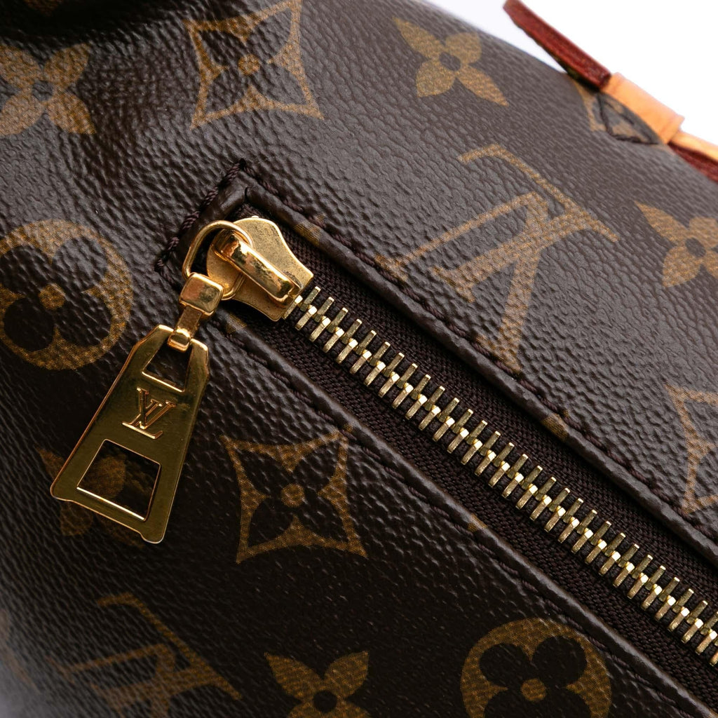 Louis Vuitton Monogram Bumbag
