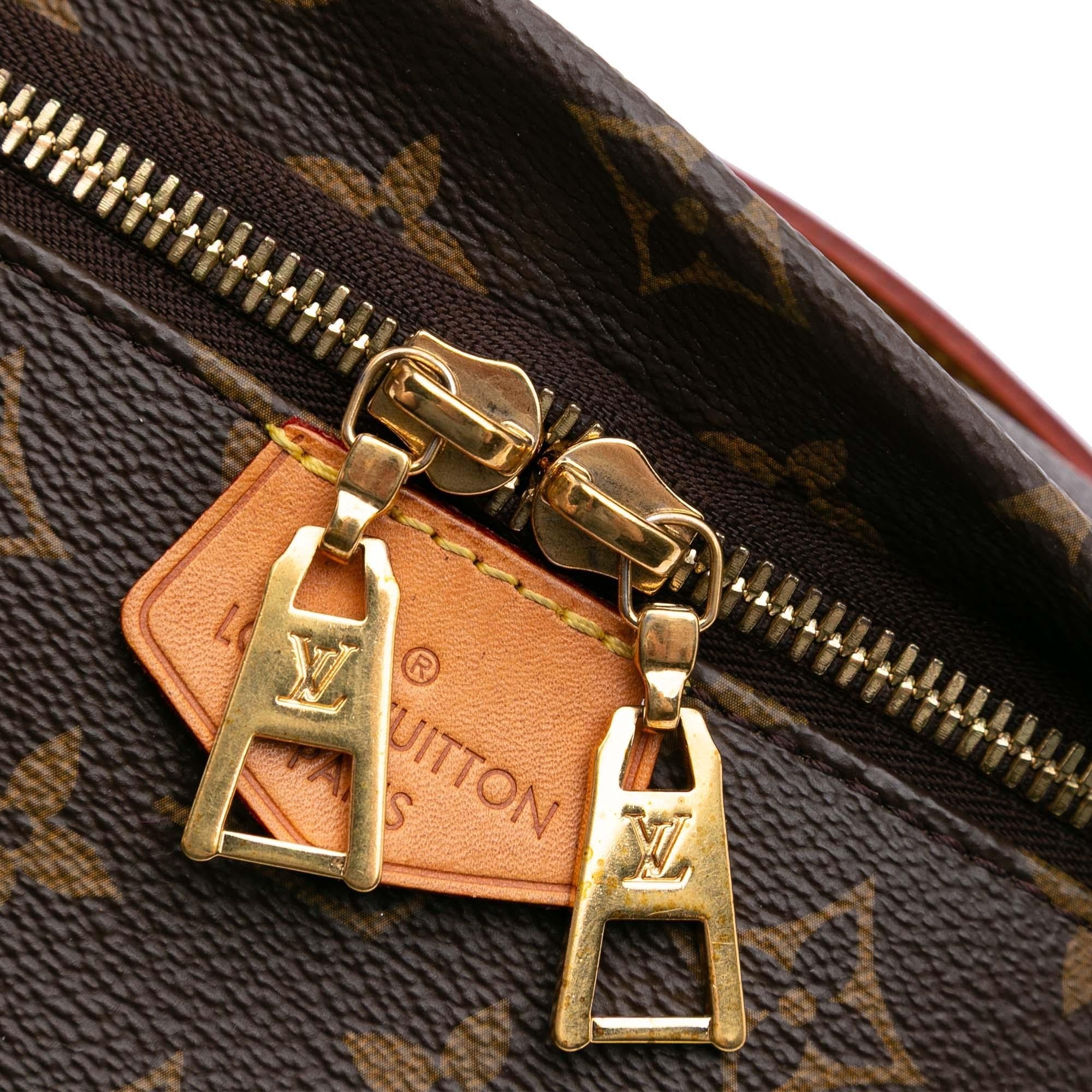 Louis Vuitton Monogram Bumbag