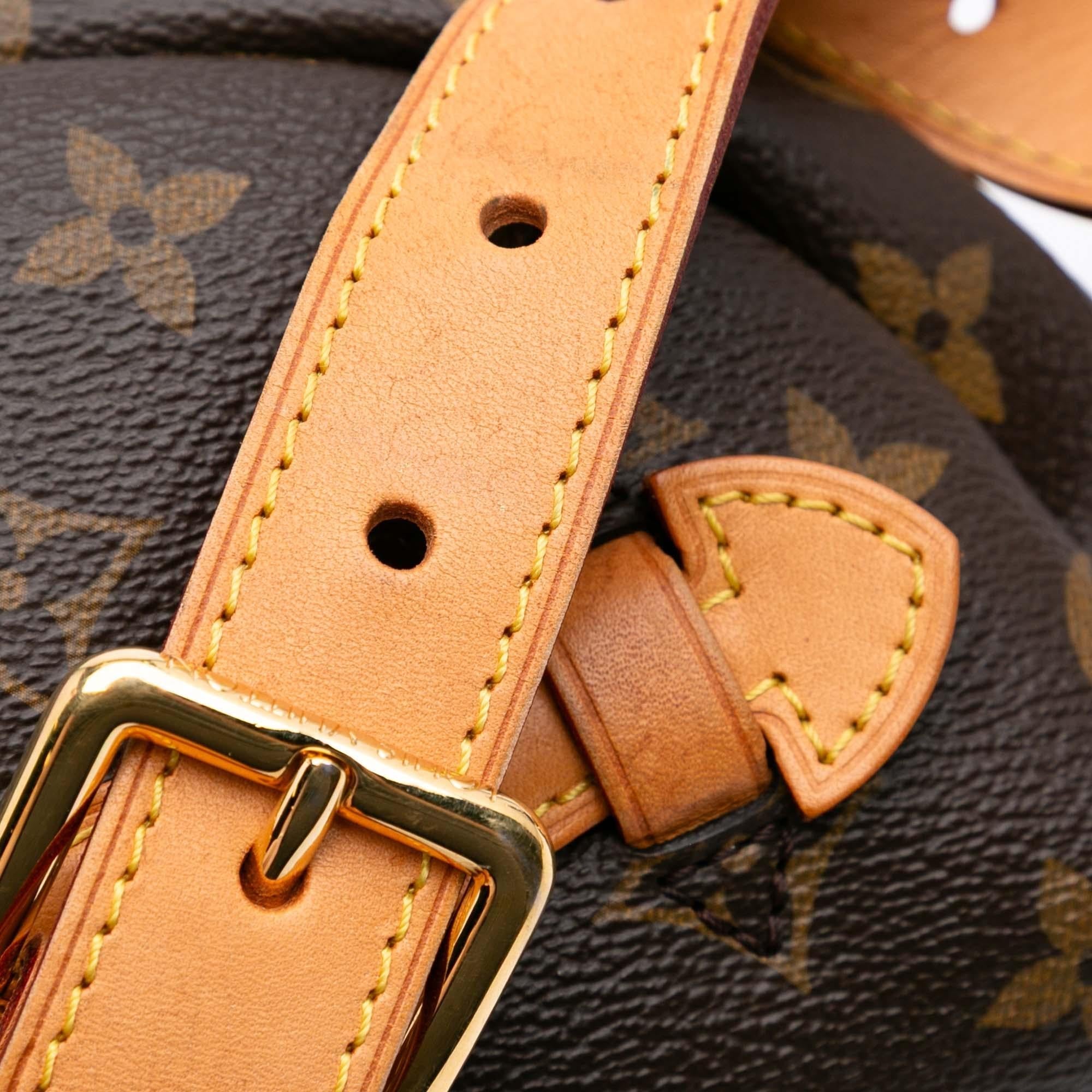Louis Vuitton Monogram Bumbag
