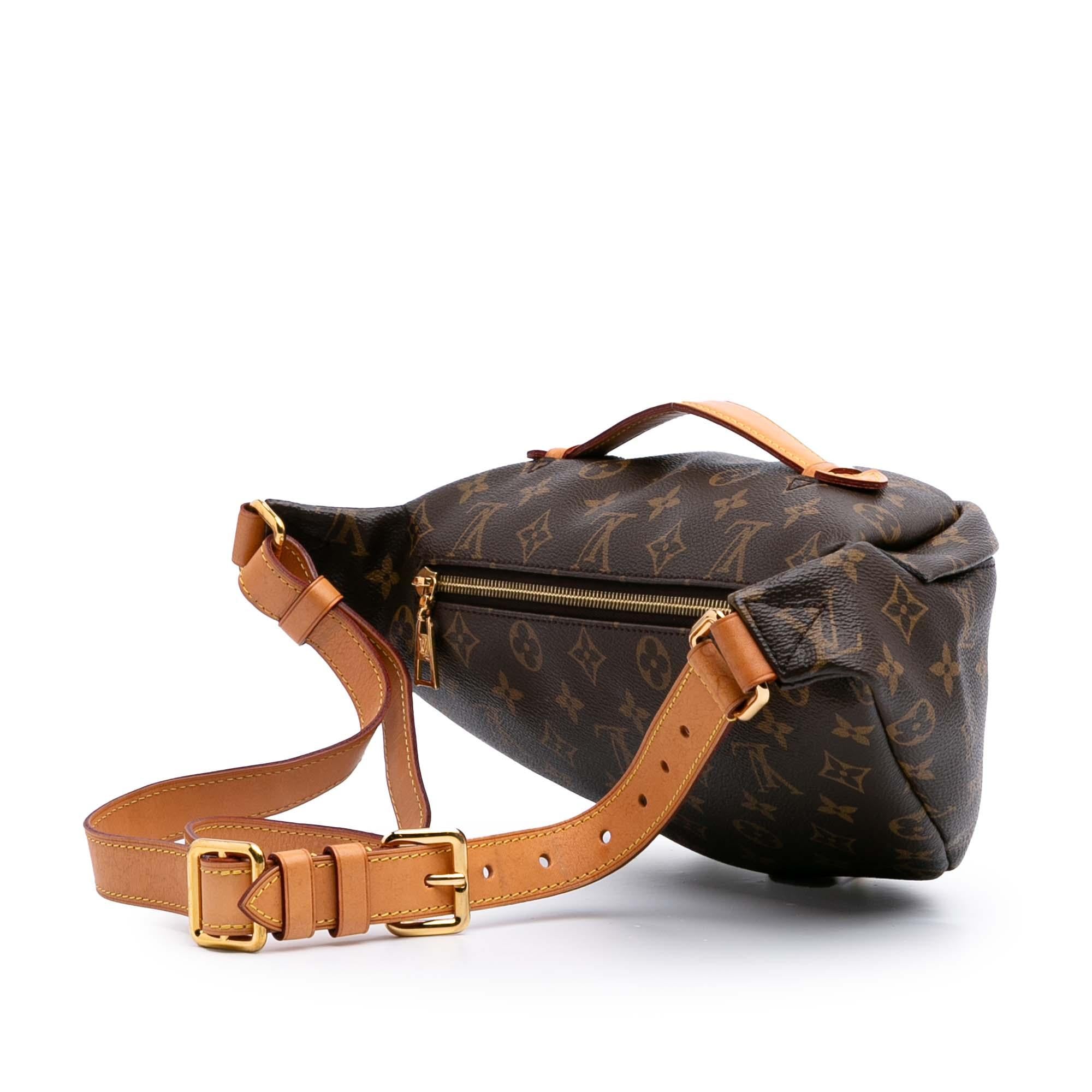 Louis Vuitton Monogram Bumbag