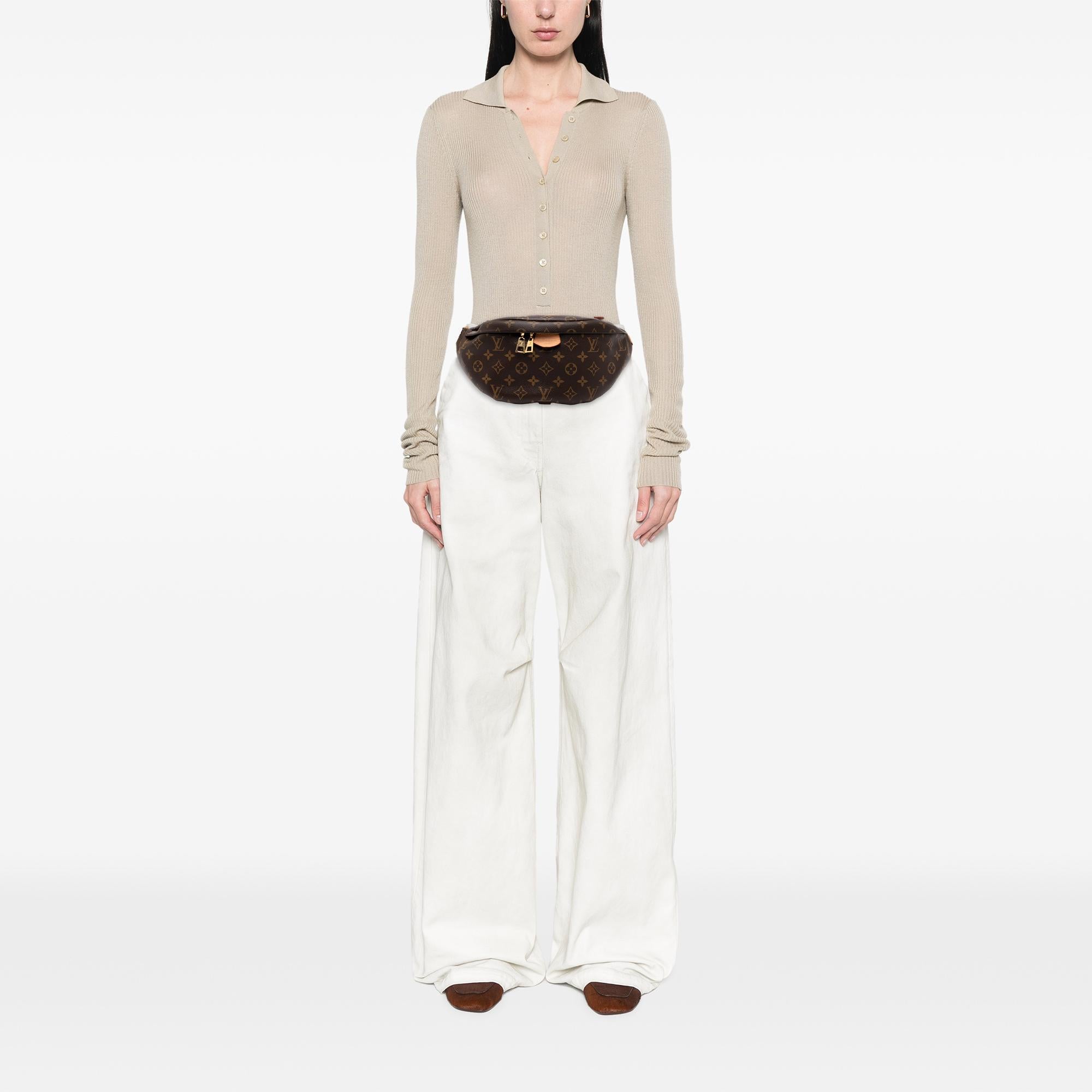 Louis Vuitton Monogram Bumbag