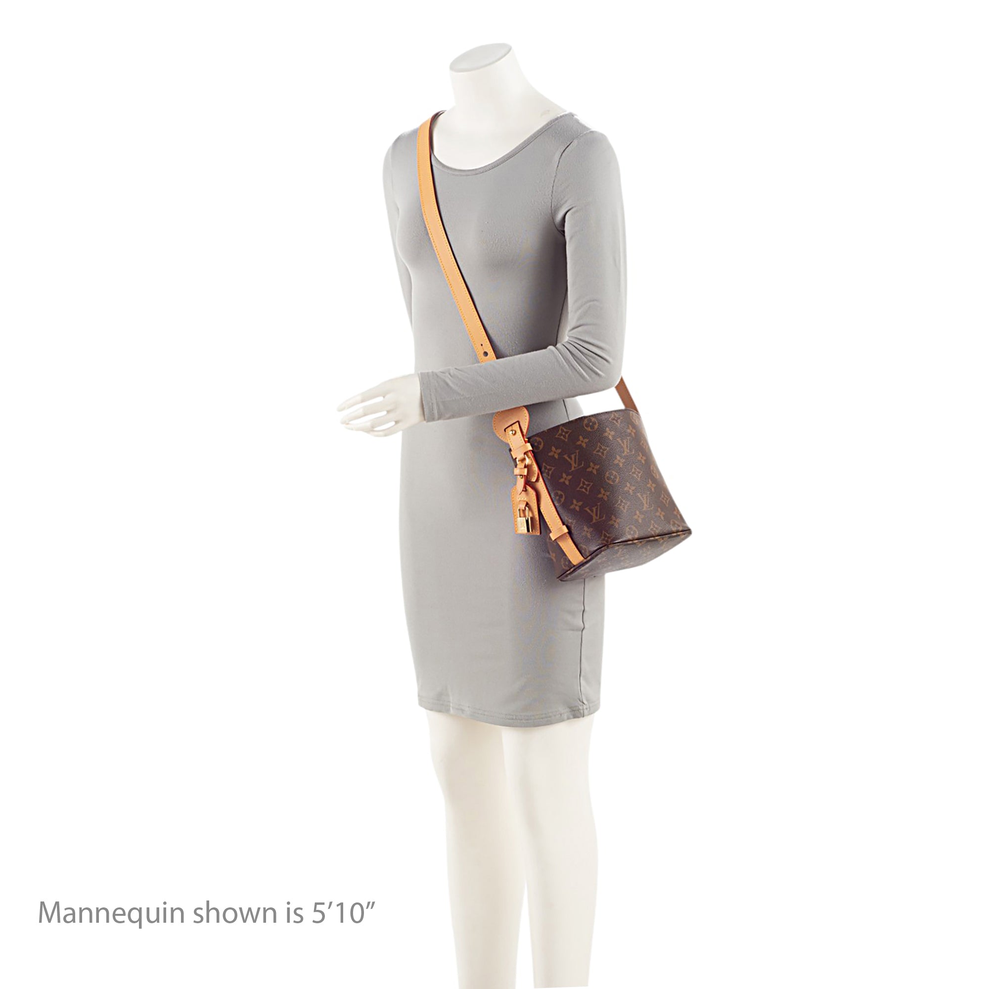 Louis Vuitton Monogram Canvas All In BB Bucket Bag