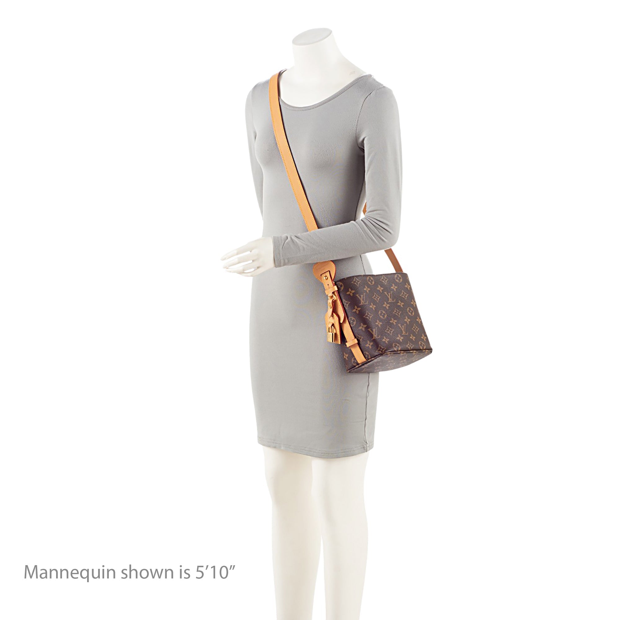 Louis Vuitton Monogram Canvas All In BB Bucket Bag