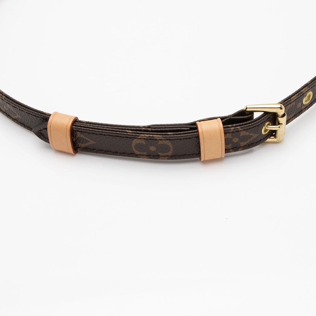 Louis Vuitton Monogram Canvas Adjustable Bandouliere Shoulder Strap (SHF-EUTWeR)