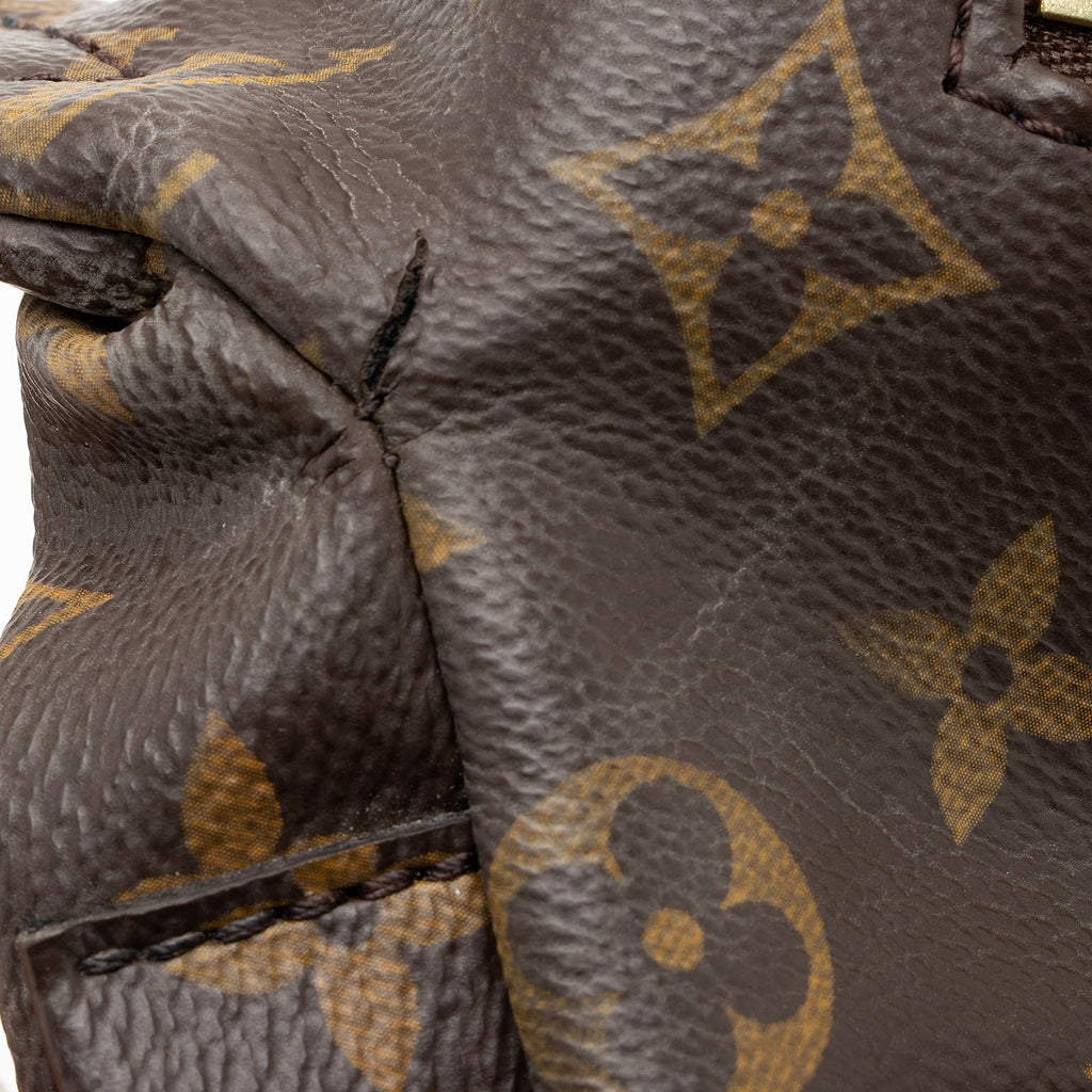 Louis Vuitton Monogram Canvas Bumbag (SHF-EQpZuq)
