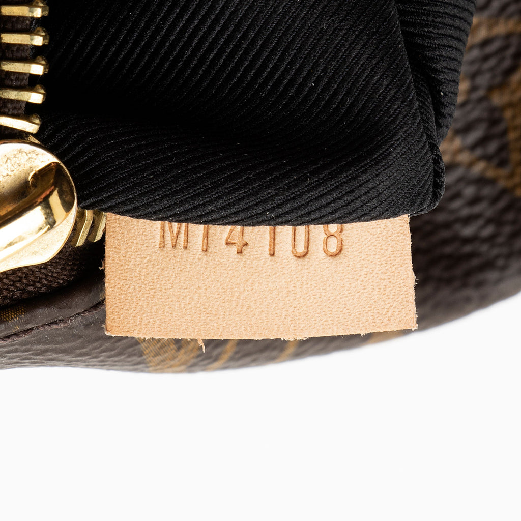 Louis Vuitton Monogram Canvas Bumbag (SHF-nLrjfi)