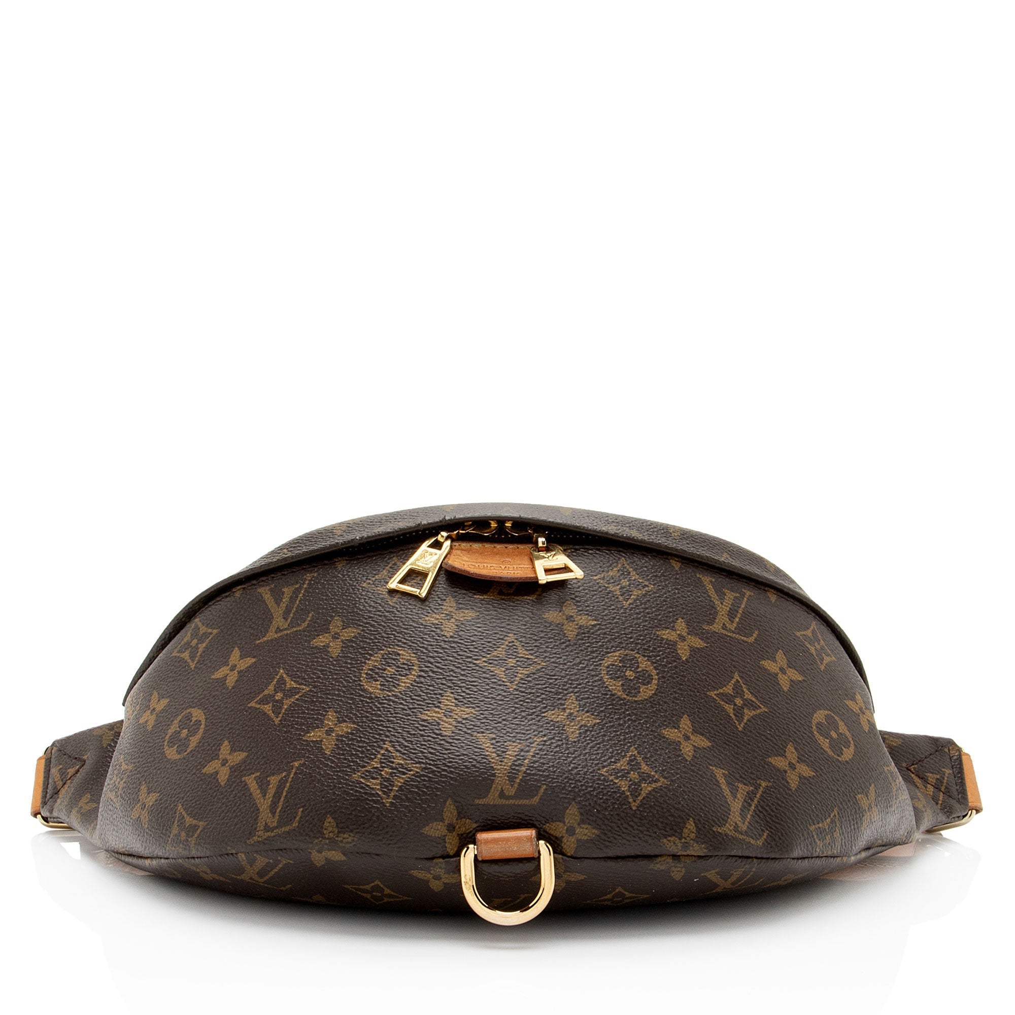 Louis Vuitton Monogram Canvas Bumbag (SHF-un1rC9)