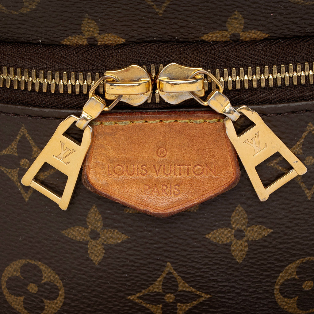 Louis Vuitton Monogram Canvas Bumbag (SHF-un1rC9)