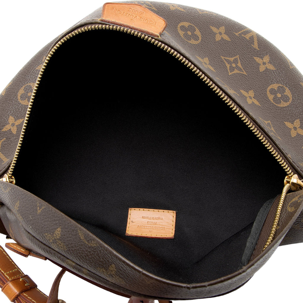 Louis Vuitton Monogram Canvas Bumbag (SHF-un1rC9)