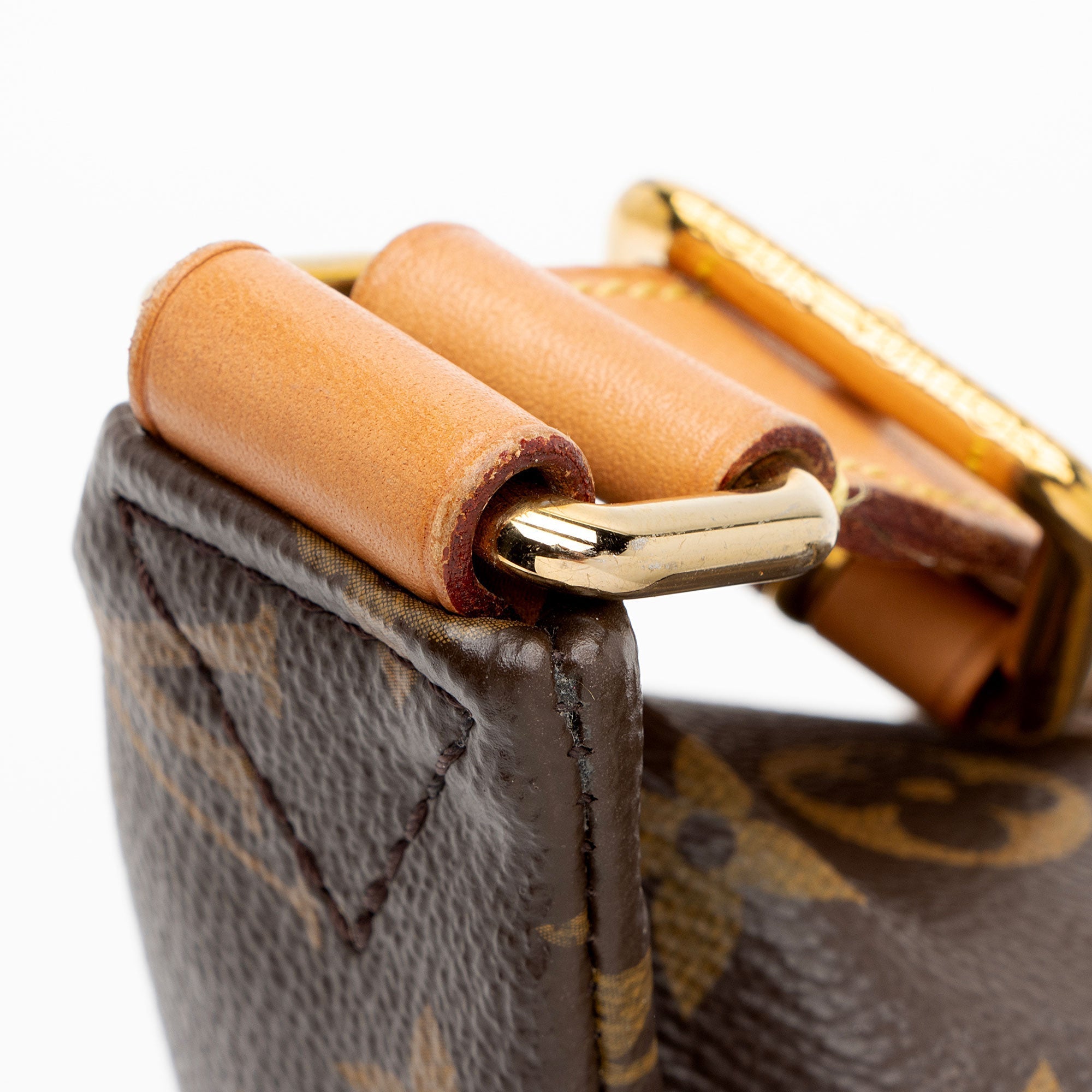 Louis Vuitton Monogram Canvas Bumbag