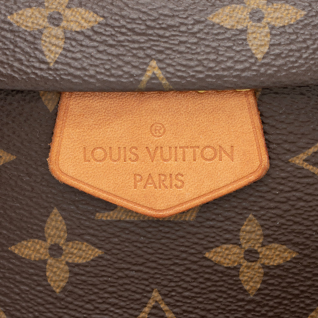 Louis Vuitton Monogram Canvas Bumbag