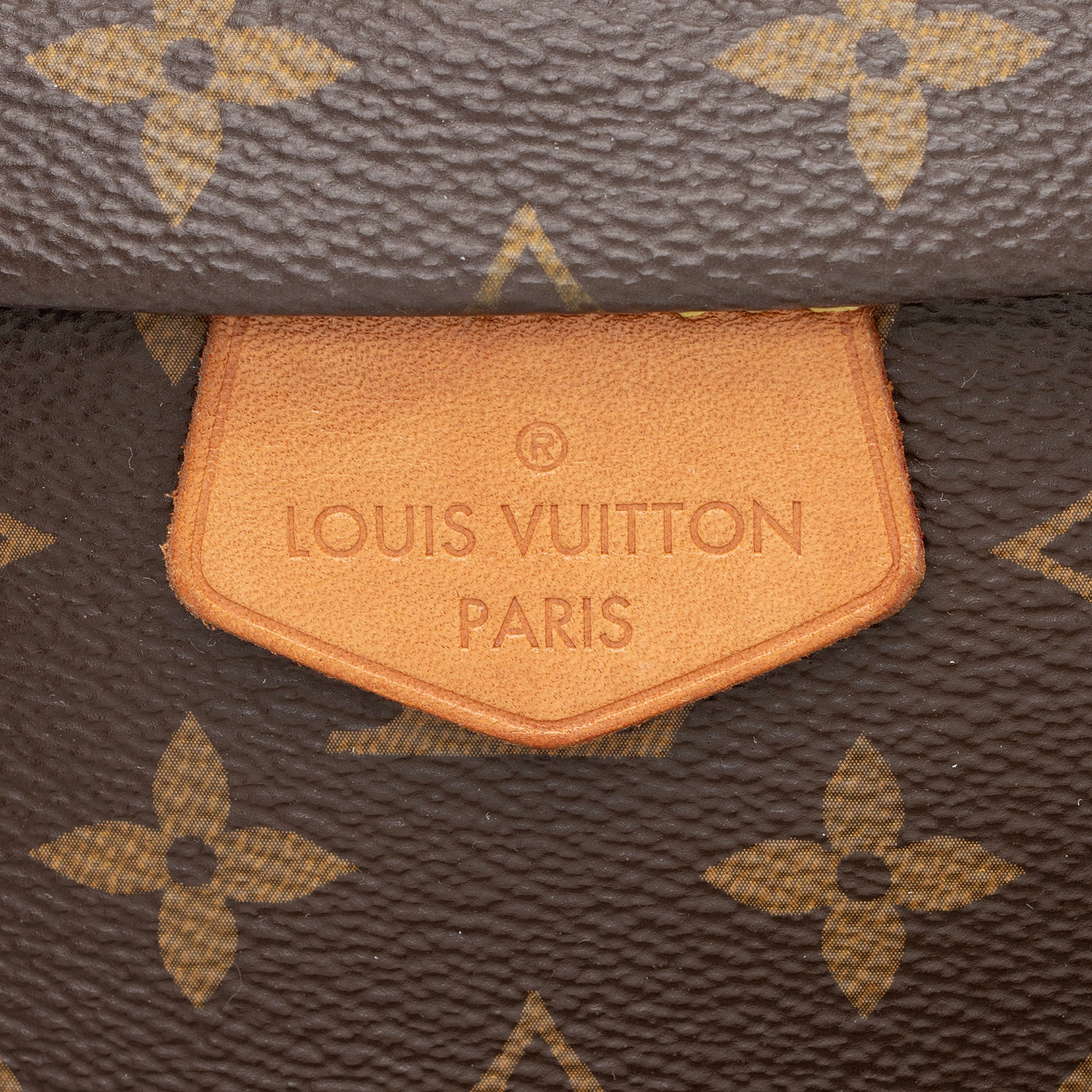 Louis Vuitton Monogram Canvas Bumbag