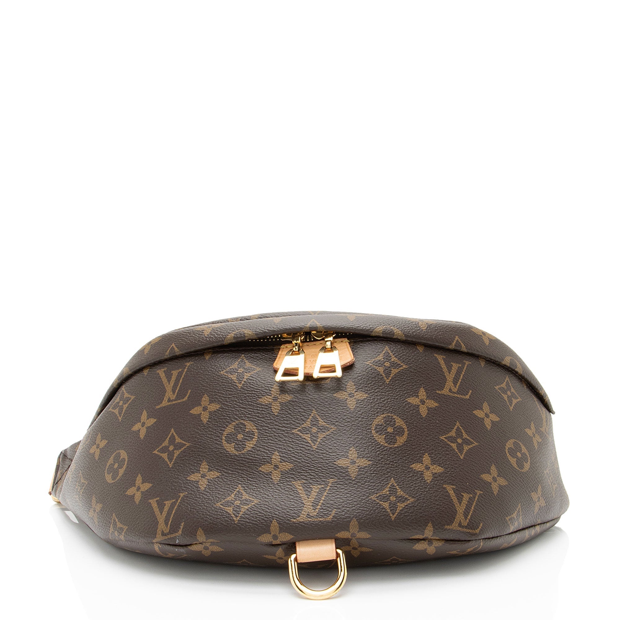 Louis Vuitton Monogram Canvas Bumbag