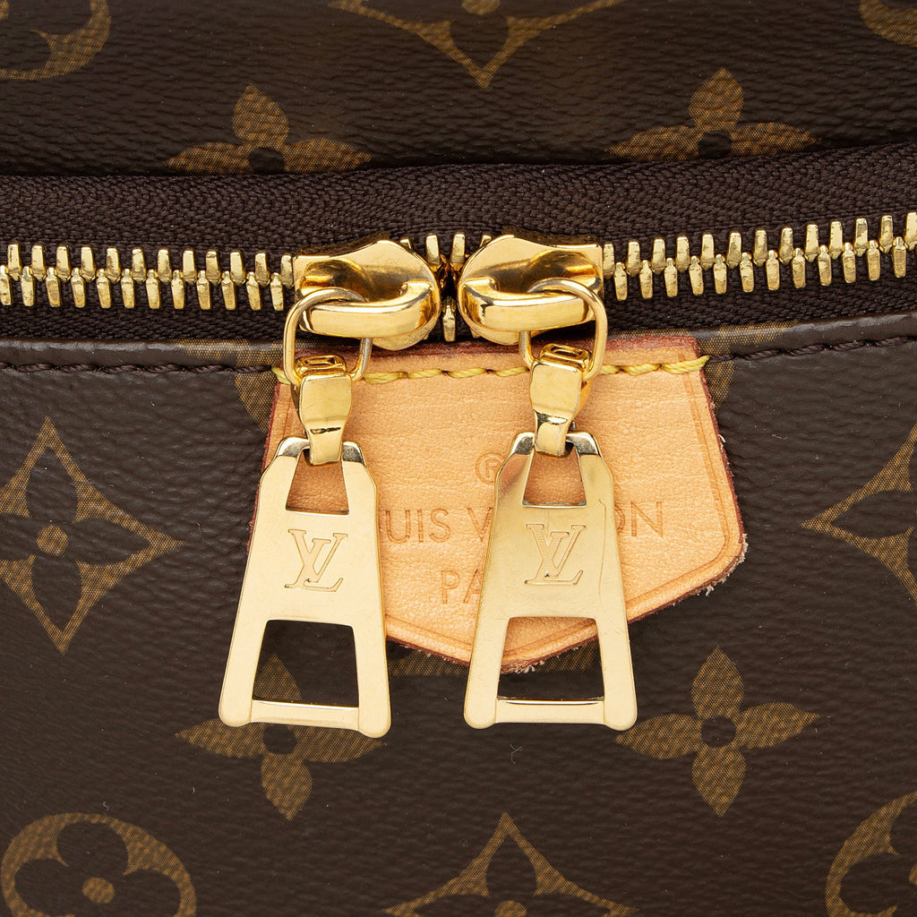 Louis Vuitton Monogram Canvas Bumbag