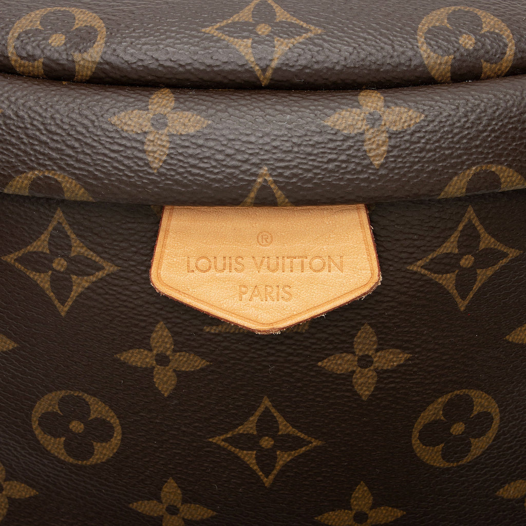 Louis Vuitton Monogram Canvas Bumbag