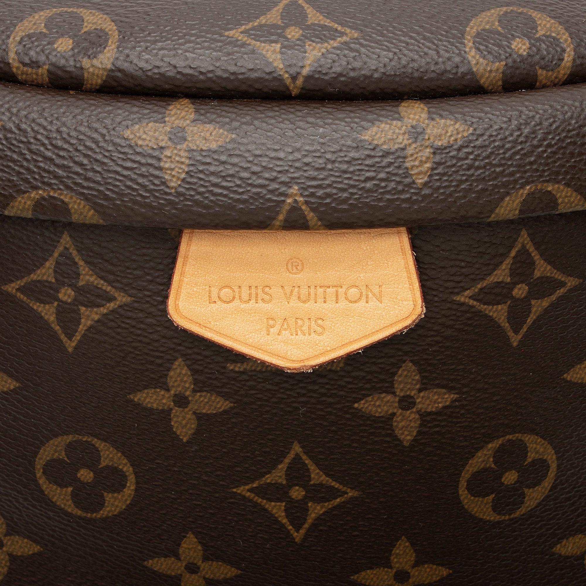 Louis Vuitton Monogram Canvas Bumbag