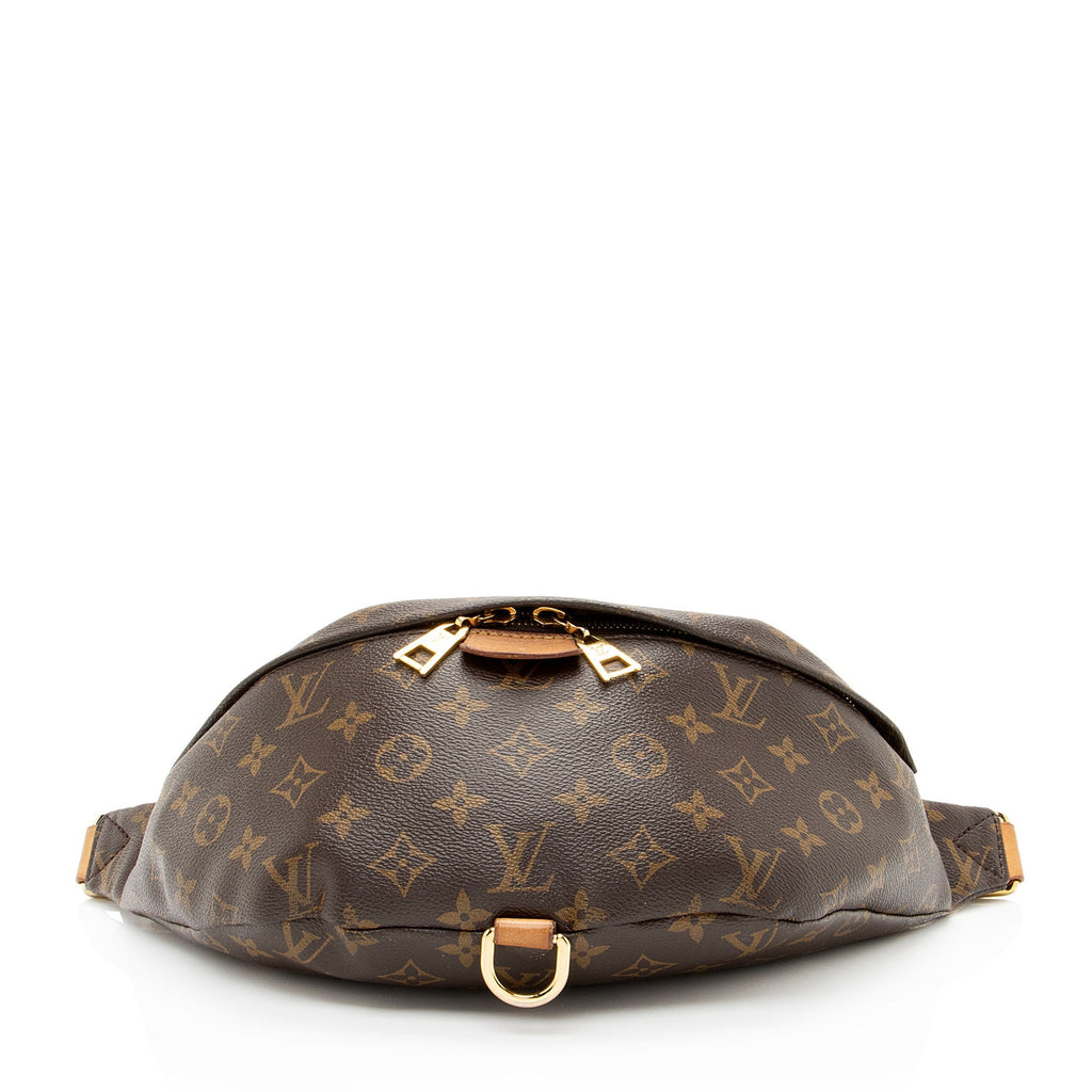 Louis Vuitton Monogram Canvas Bumbag