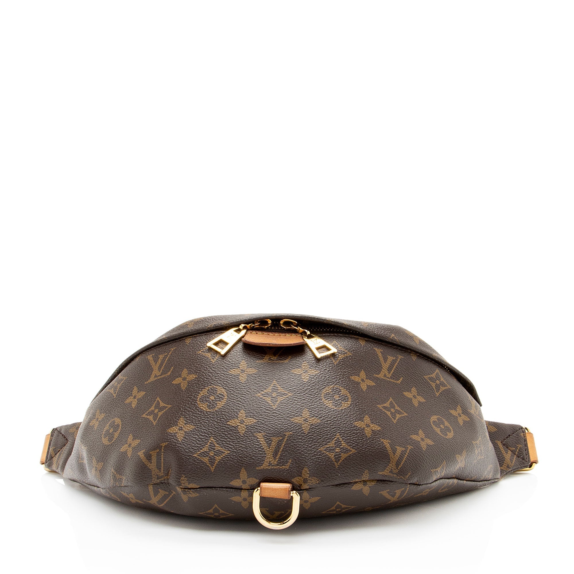 Louis Vuitton Monogram Canvas Bumbag