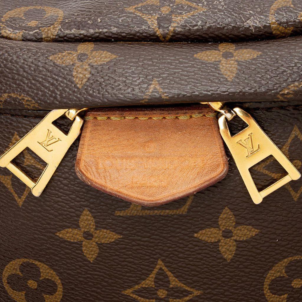 Louis Vuitton Monogram Canvas Bumbag
