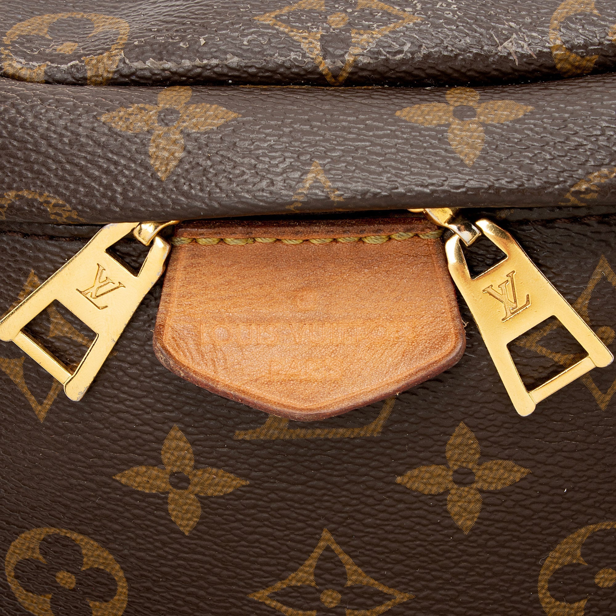 Louis Vuitton Monogram Canvas Bumbag